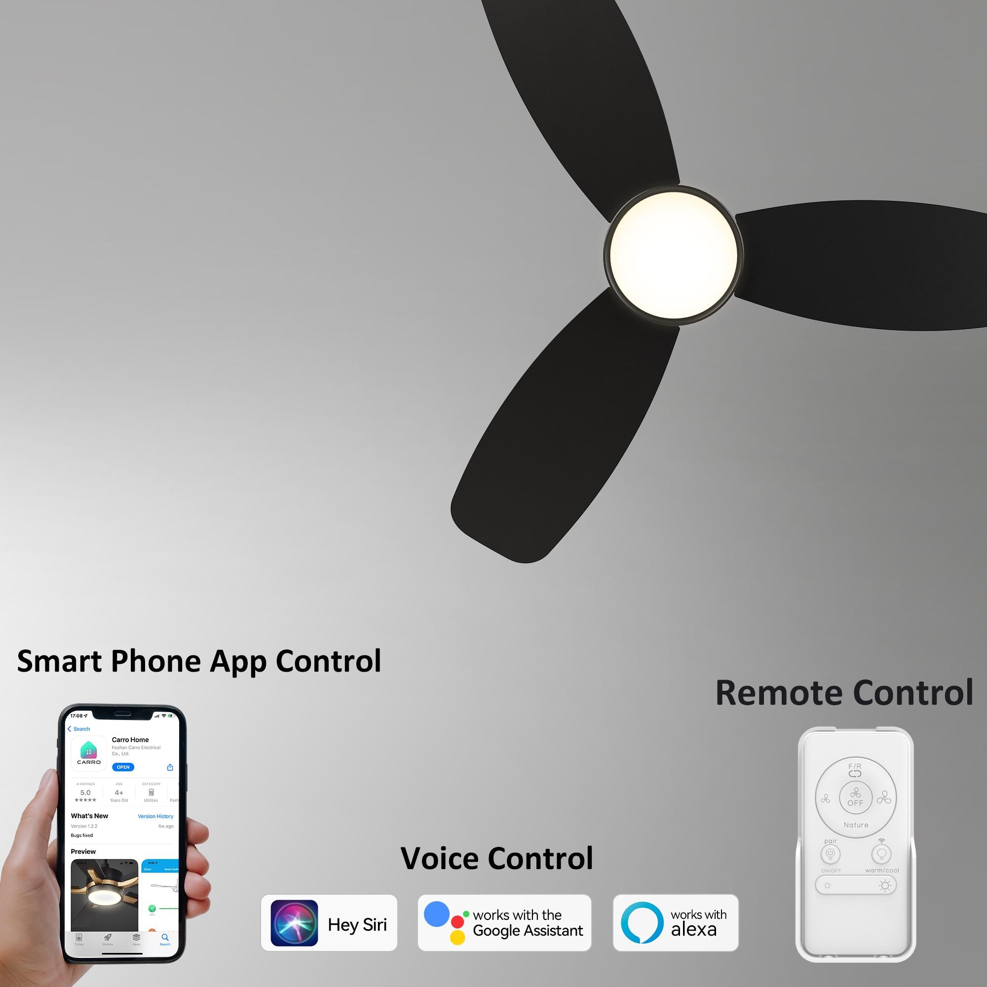 Smart Flush Mount Ceiling Fan with Light, Remote Control, DC Motor