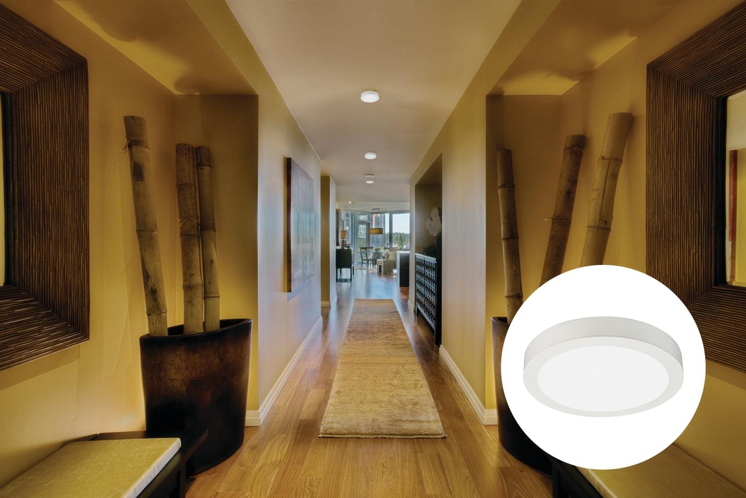 Dimmable Circle Fixture Component Ceiling Light