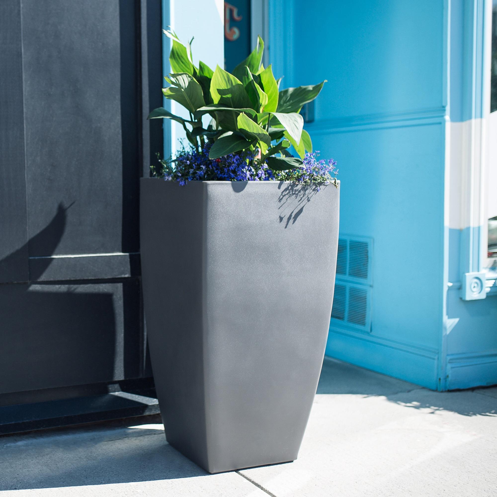 Mayne Inc. Vernamae  Resin Pot Planter With Water Reservoir