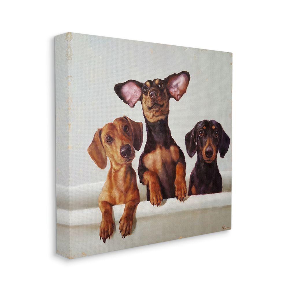 Dachshunds in the Tub Canvas Wall Art 24x24