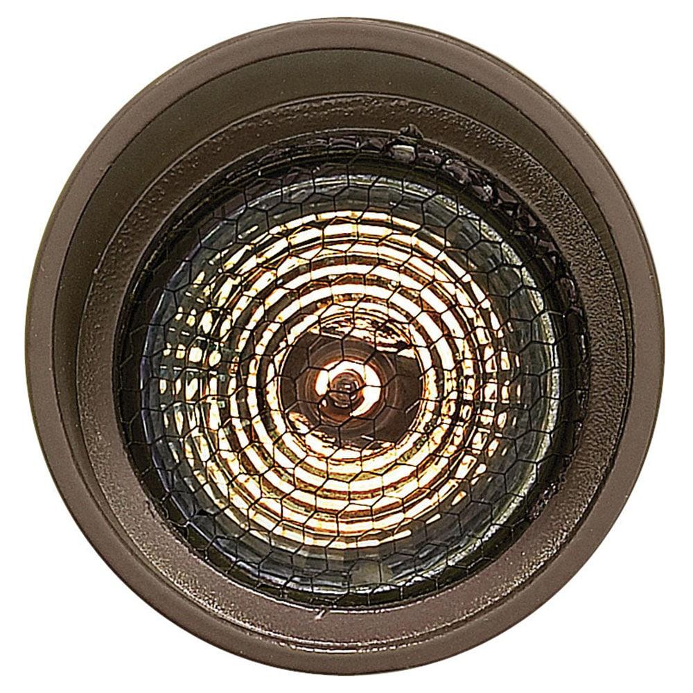Bronze Low Voltage LED Outdoor Spot Light with Clear Lens