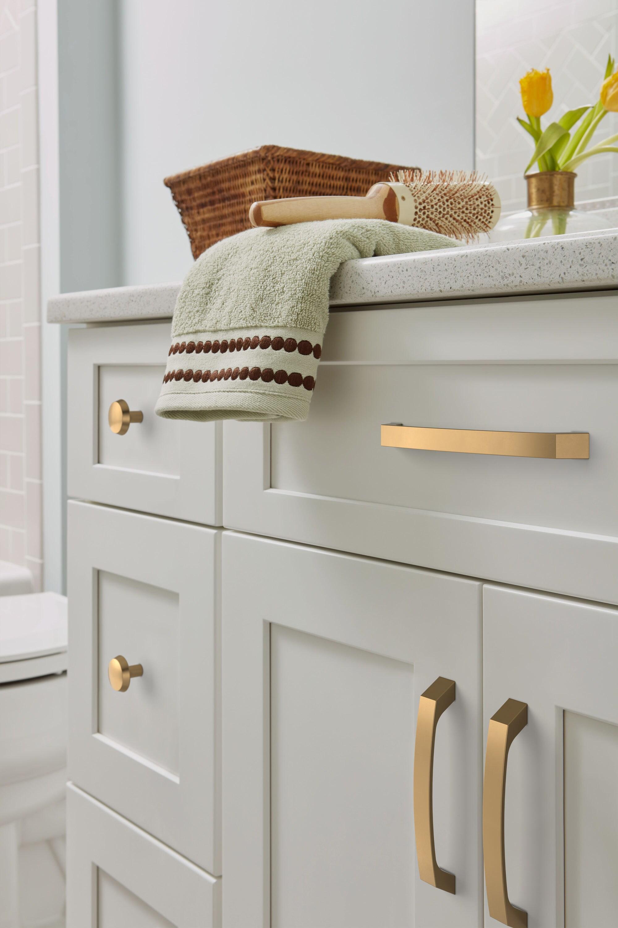 Amerock Premise Cabinet and Drawer Pull