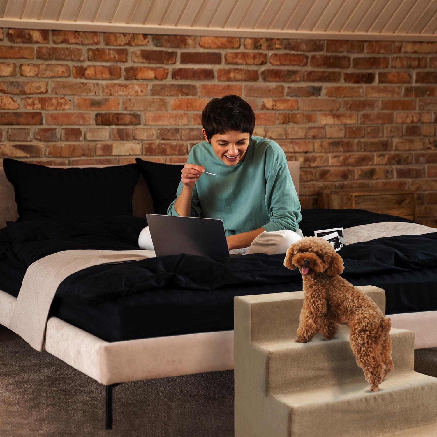 Precious Tails High Density Foam 4 Steps Dog Stairs - Camel