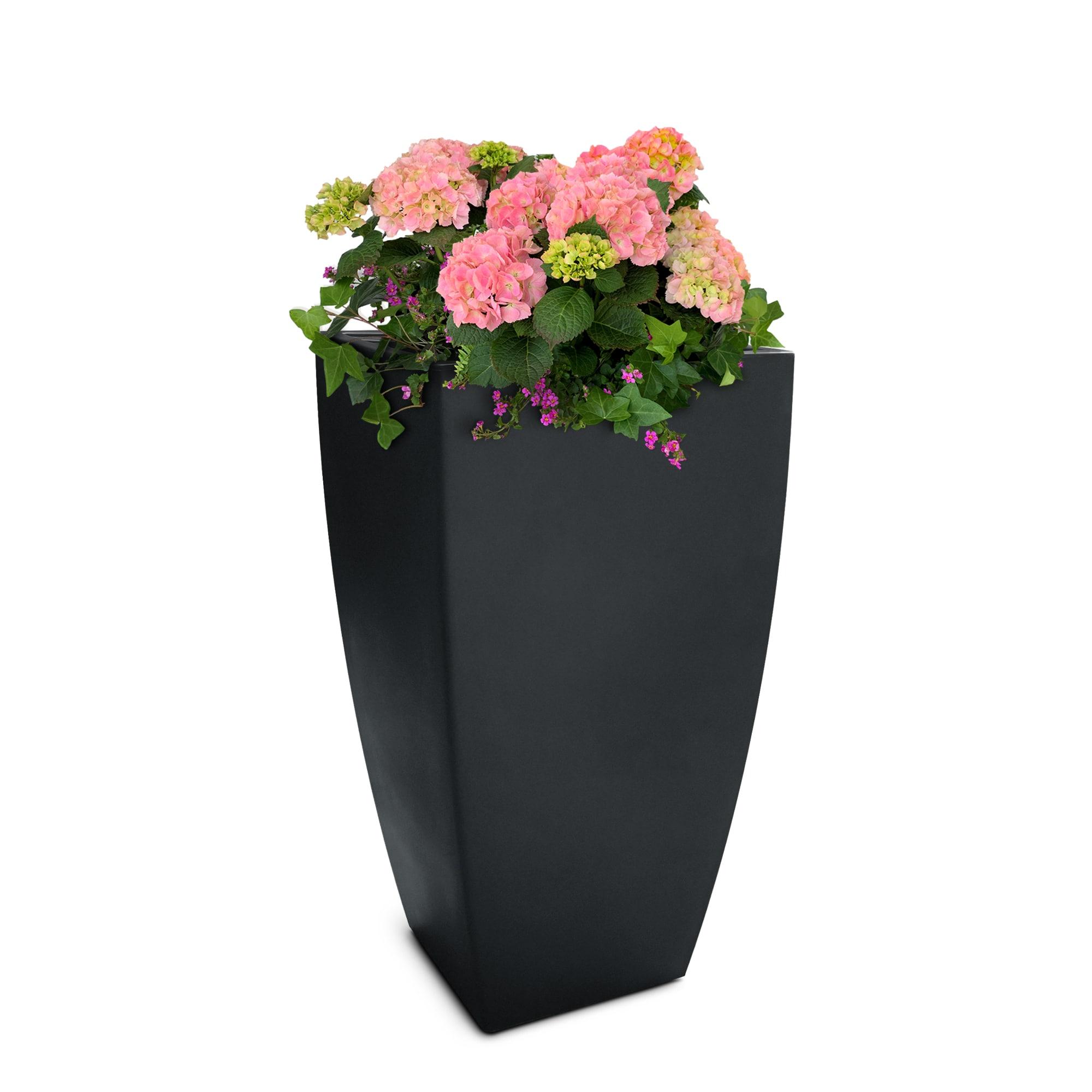 Mayne Inc. Vernamae  Resin Pot Planter With Water Reservoir