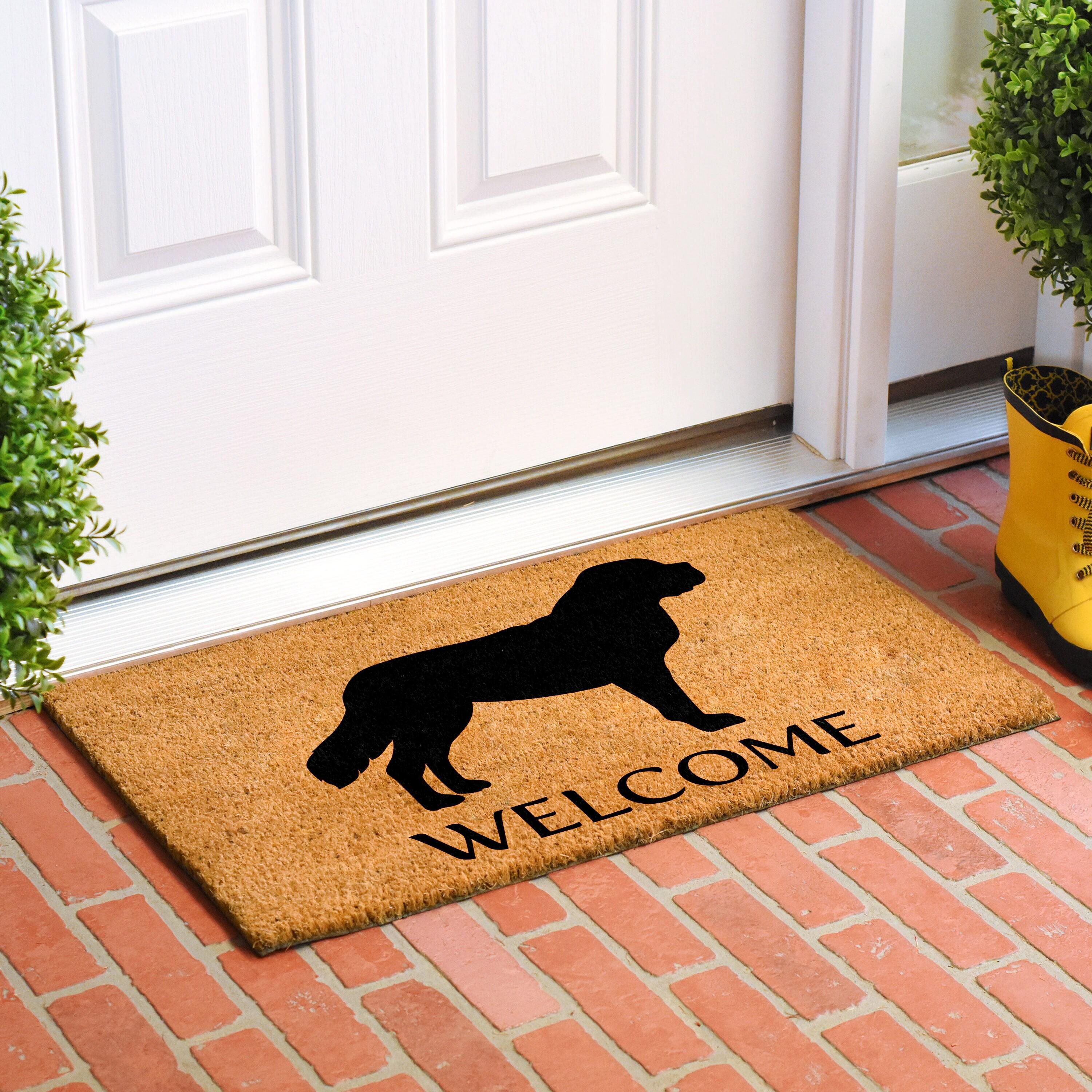 Red Barrel Studio® Non-Slip Indoor Doormat