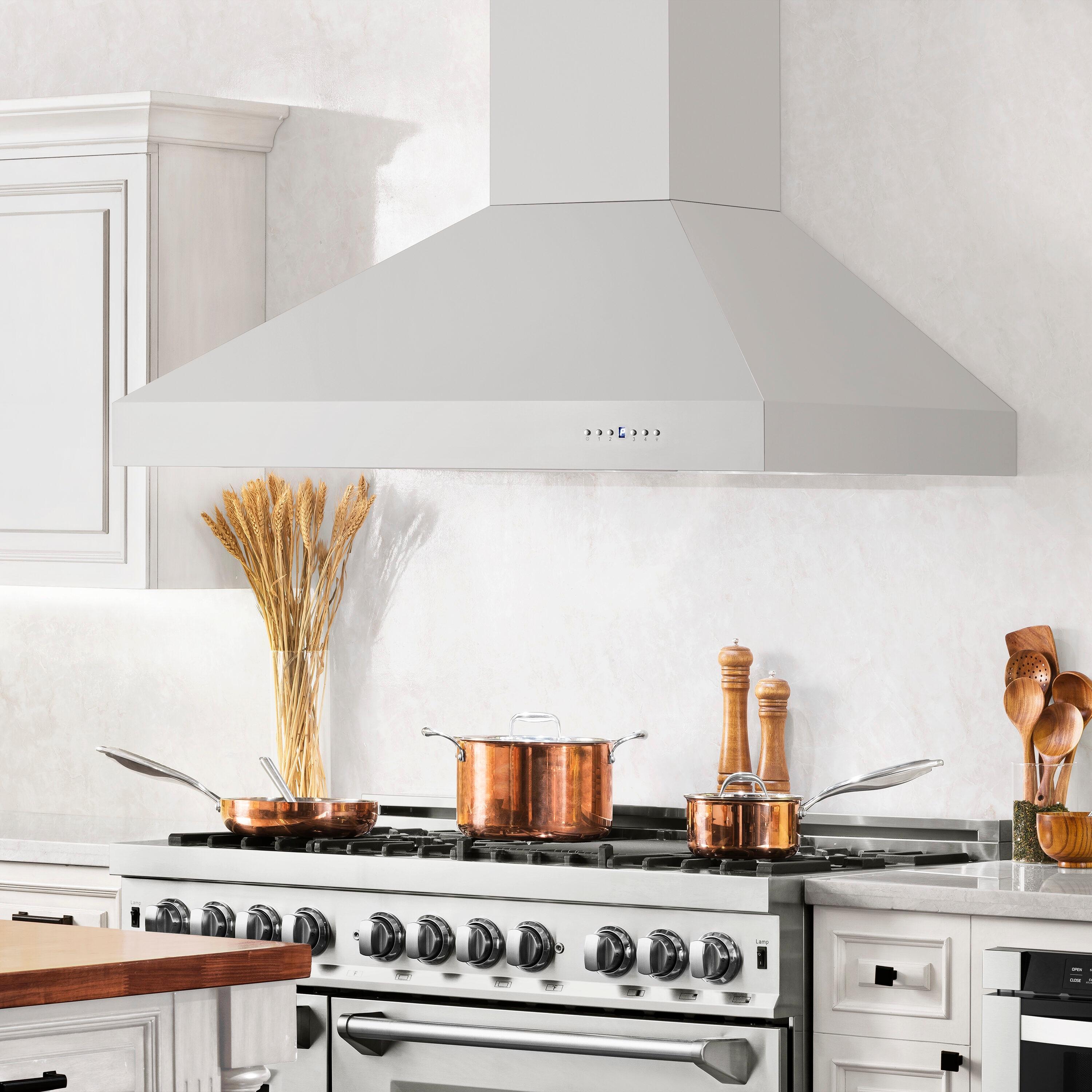 ZLINE 48 in. Professional Ducted Wall Mount Range Hood in Stainless Steel (697-48)