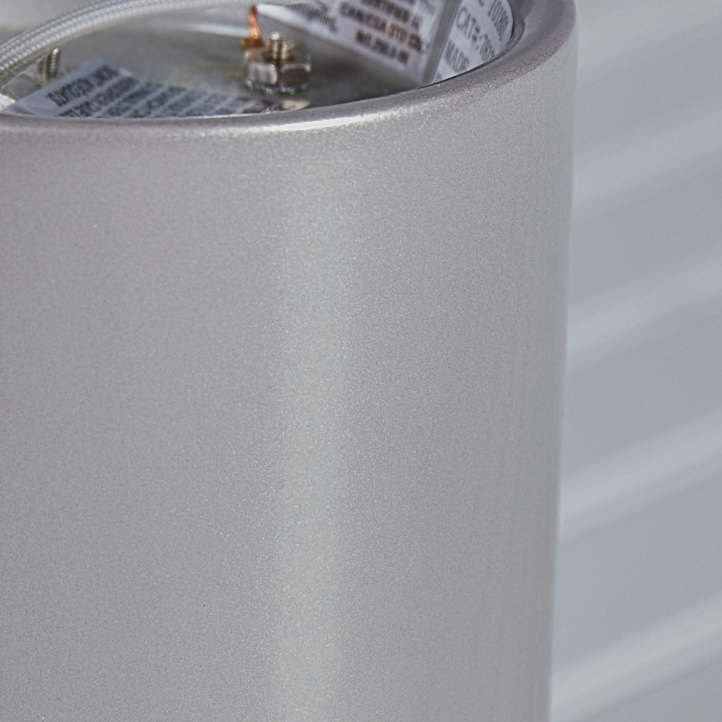 Transitional Small Outdoor LED Flush Mount in Painted Brushed Nickel