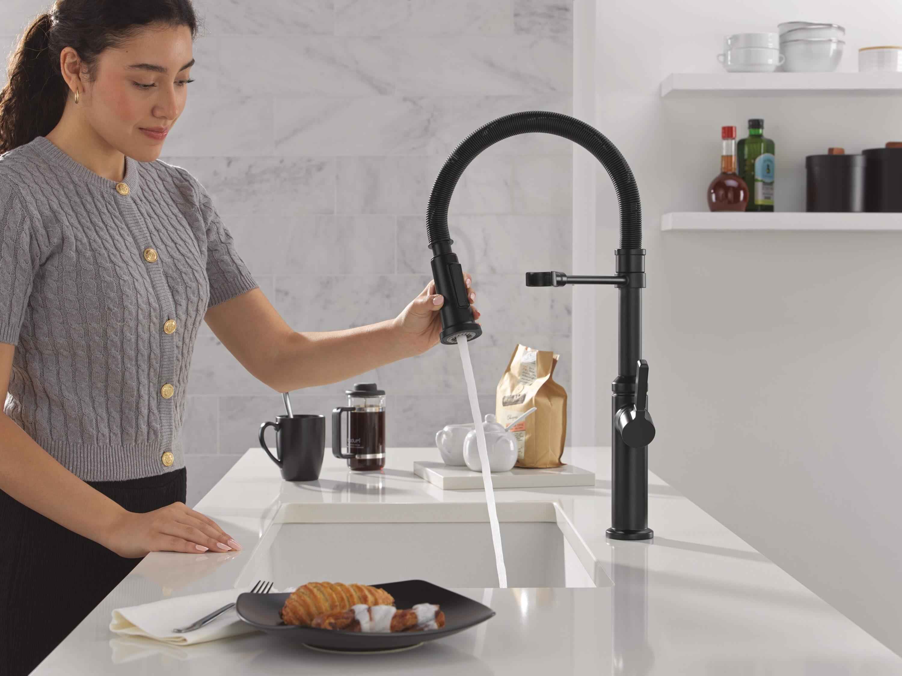 Delta Rhett Pro Commercial Kitchen Faucet, Pull Down Sprayer Kitchen Sink Faucet 18829-BL-DST