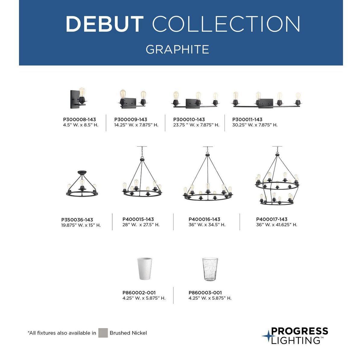Debut Collection Clear Seeded Glass Shade