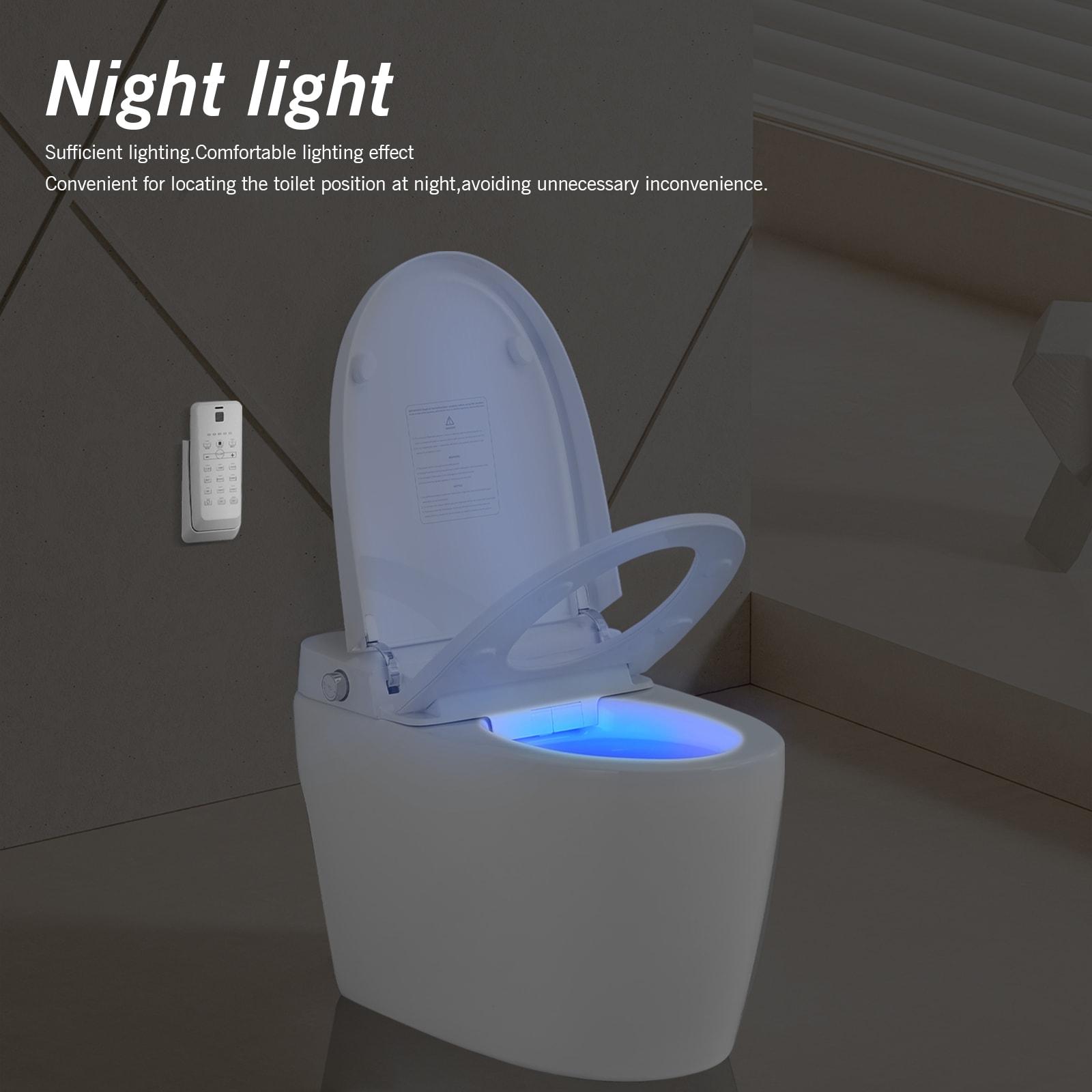 VIBRANTBATH 1.1 Gallons GPF Elongated Bidet Toilet (Seat Included)