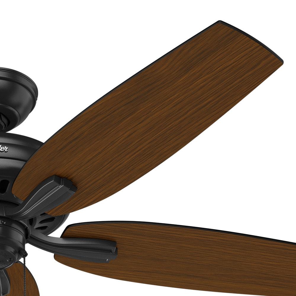52" Newsome 5 - Blade Outdoor Standard Ceiling Fan with Pull Chain