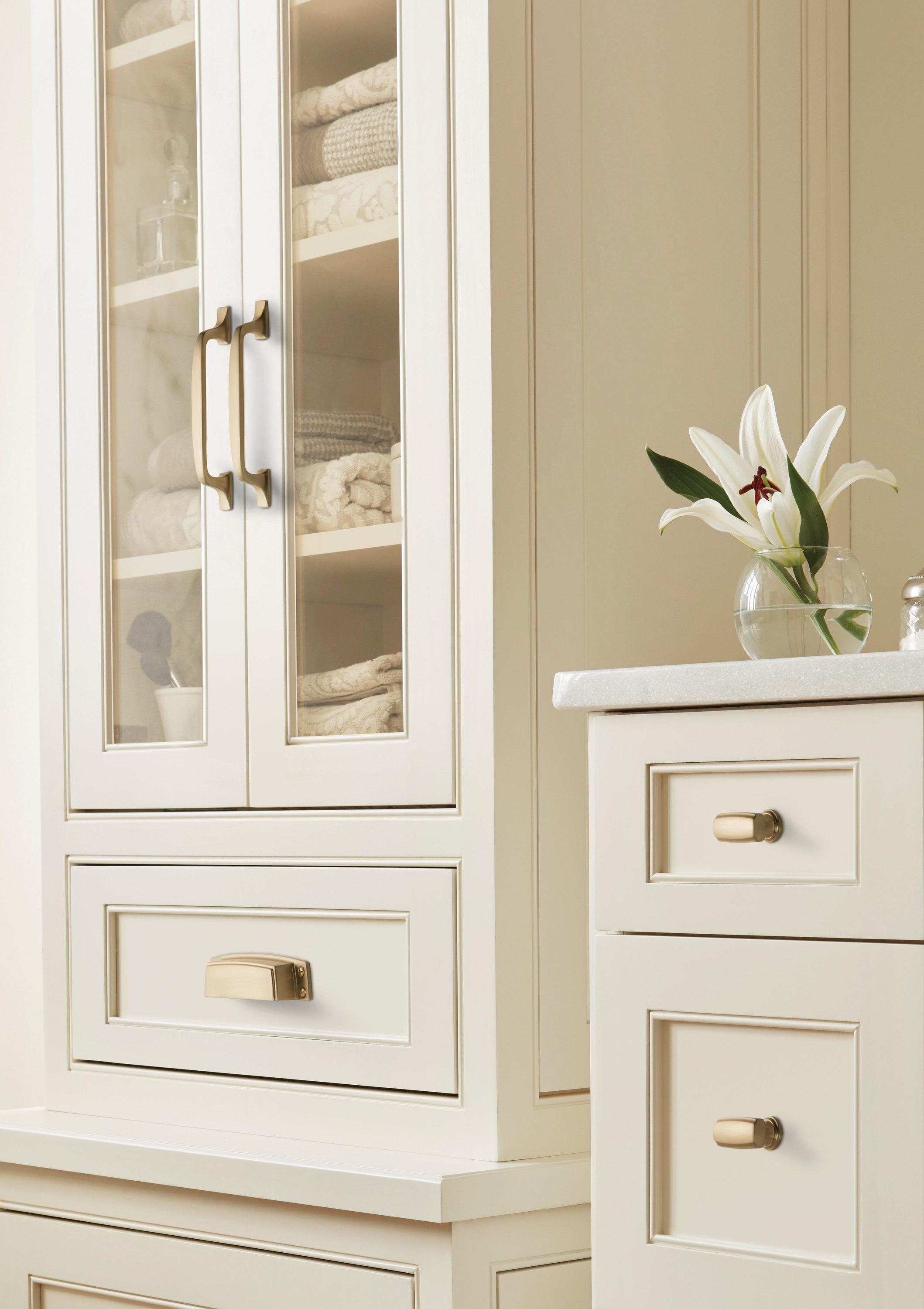Amerock Highland Ridge 3-1/2 inch (89mm) Center-to-Center Golden Champagne Cabinet Cup Pull