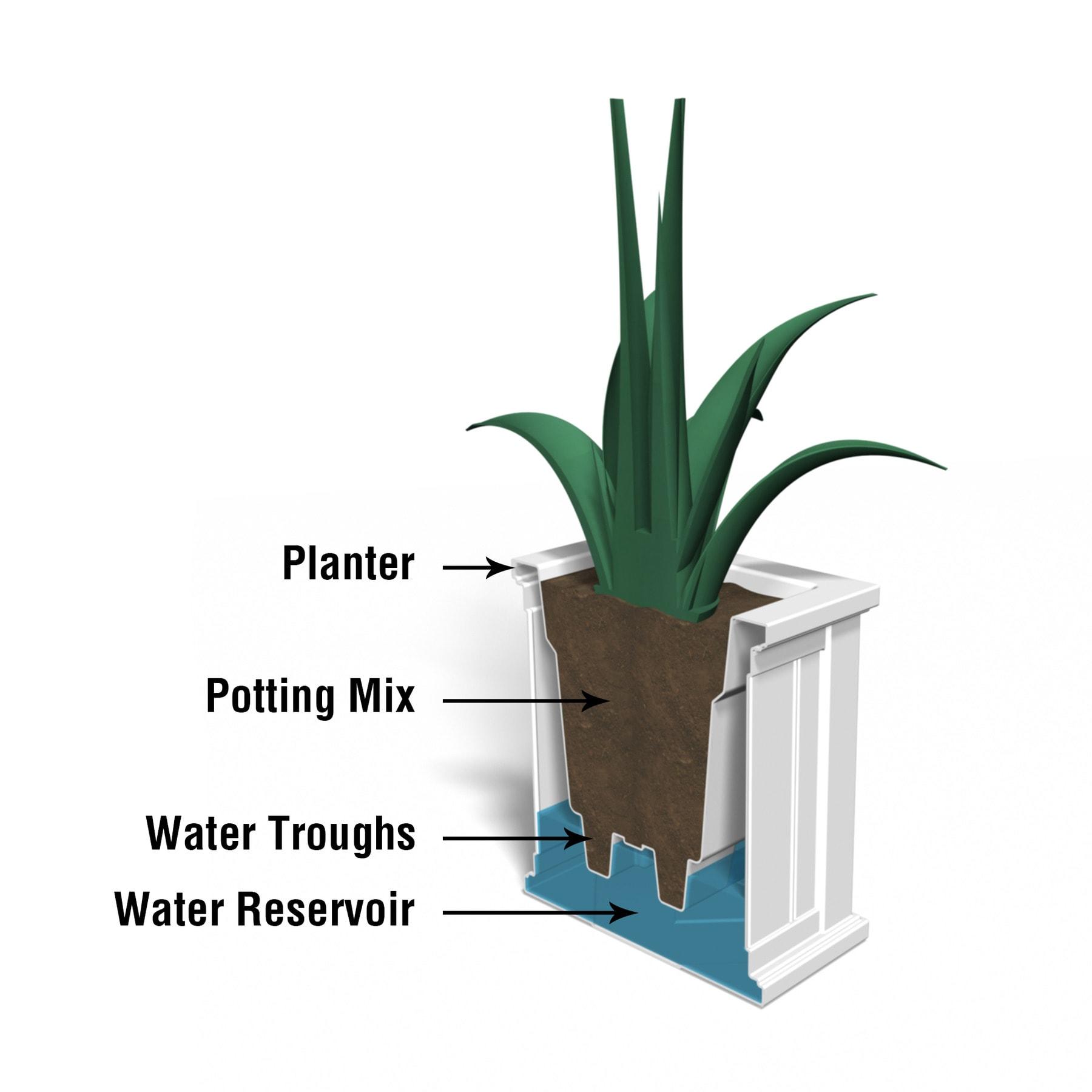 Mayne Cape Cod 14" x 14" x 14" Square White Self-Watering Polyethylene Planter