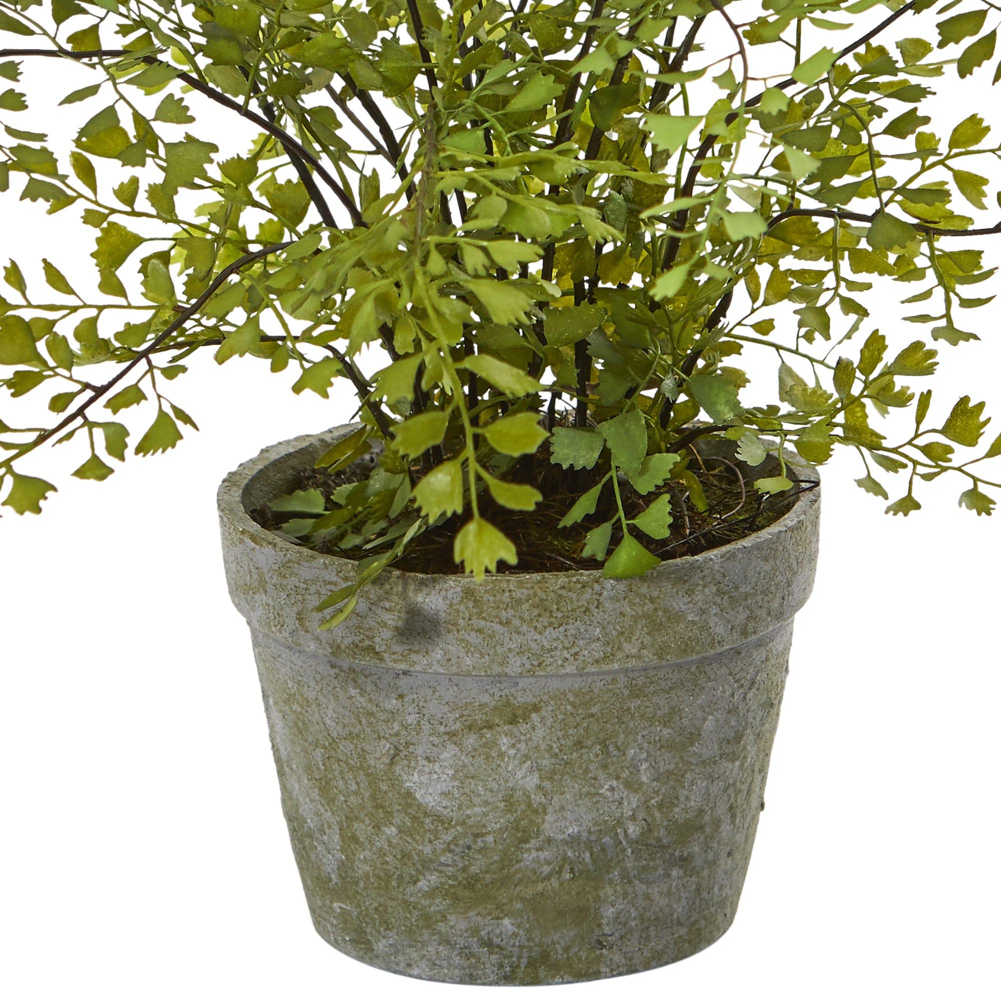 Nearly Natural Maiden Hair Artificial Plant in Decorative Planter