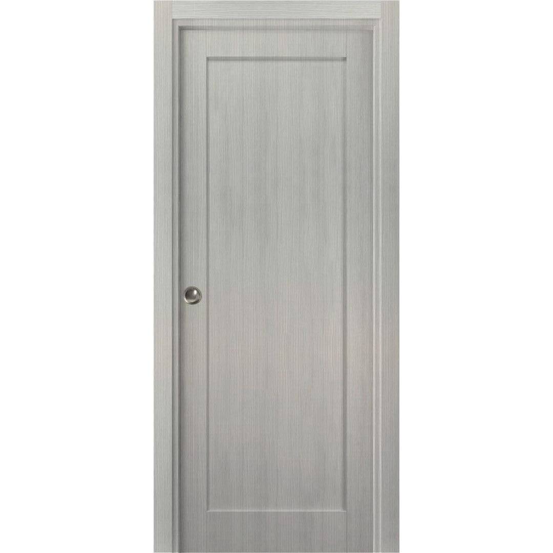 SARTODOORS Quadro Paneled Sliding Closet Door