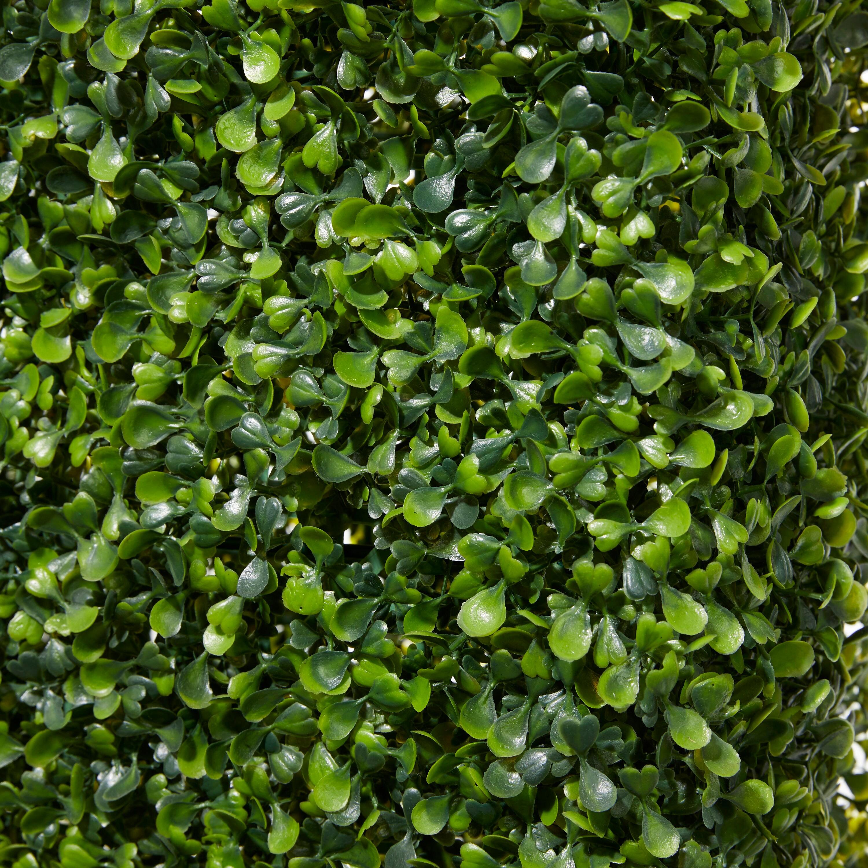 DecMode 66" Tall Boxwood Hedge Artificial Topiary in Realistic Leaves and Black Cement Planter Box