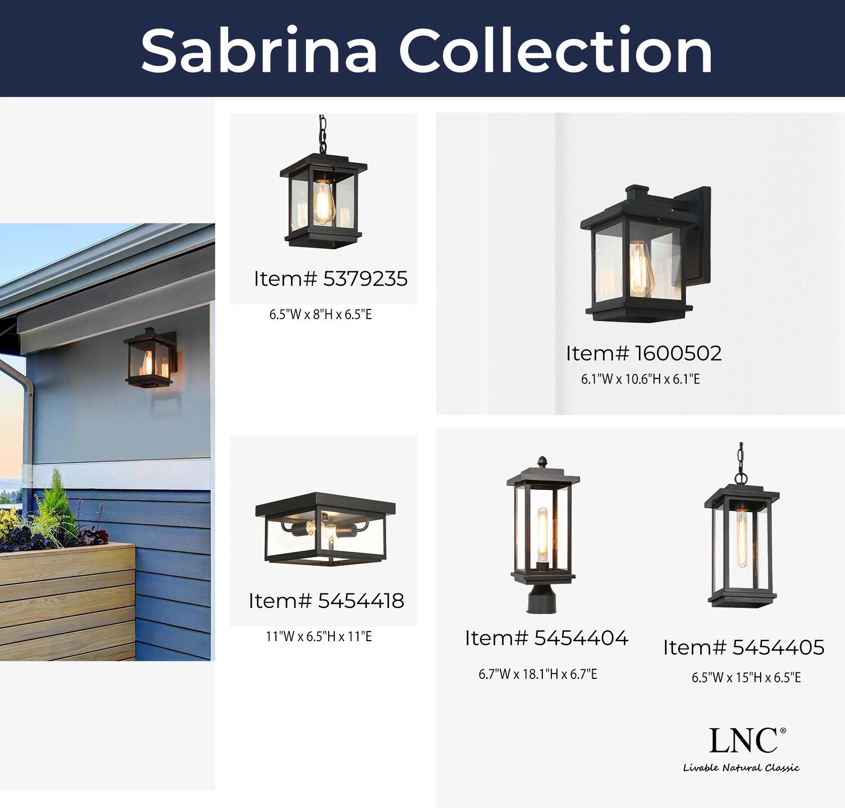 LNC 8" Square Cage Modern Outdoor Pendant Lamp Matte Black: Weather-Resistant, Glass Shade, E26