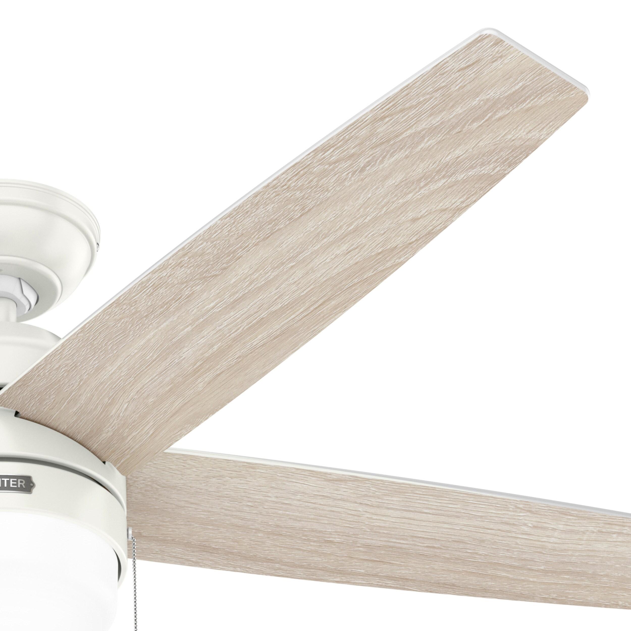 Bardot 52" 5 - Blade Ceiling Fan With Lights and Pull Chains