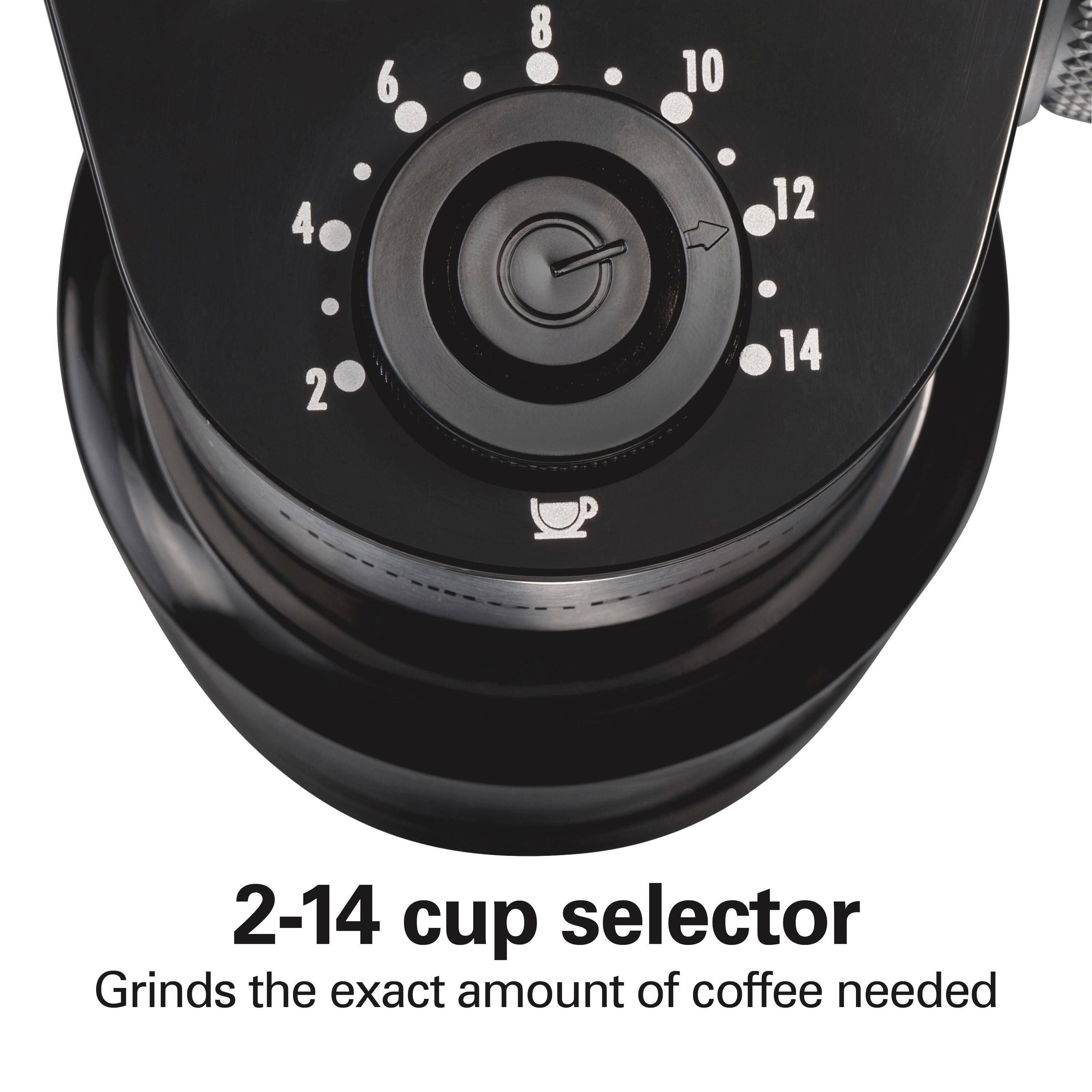 Hamilton Beach® Burr Coffee Grinder Stainless Steel Housing