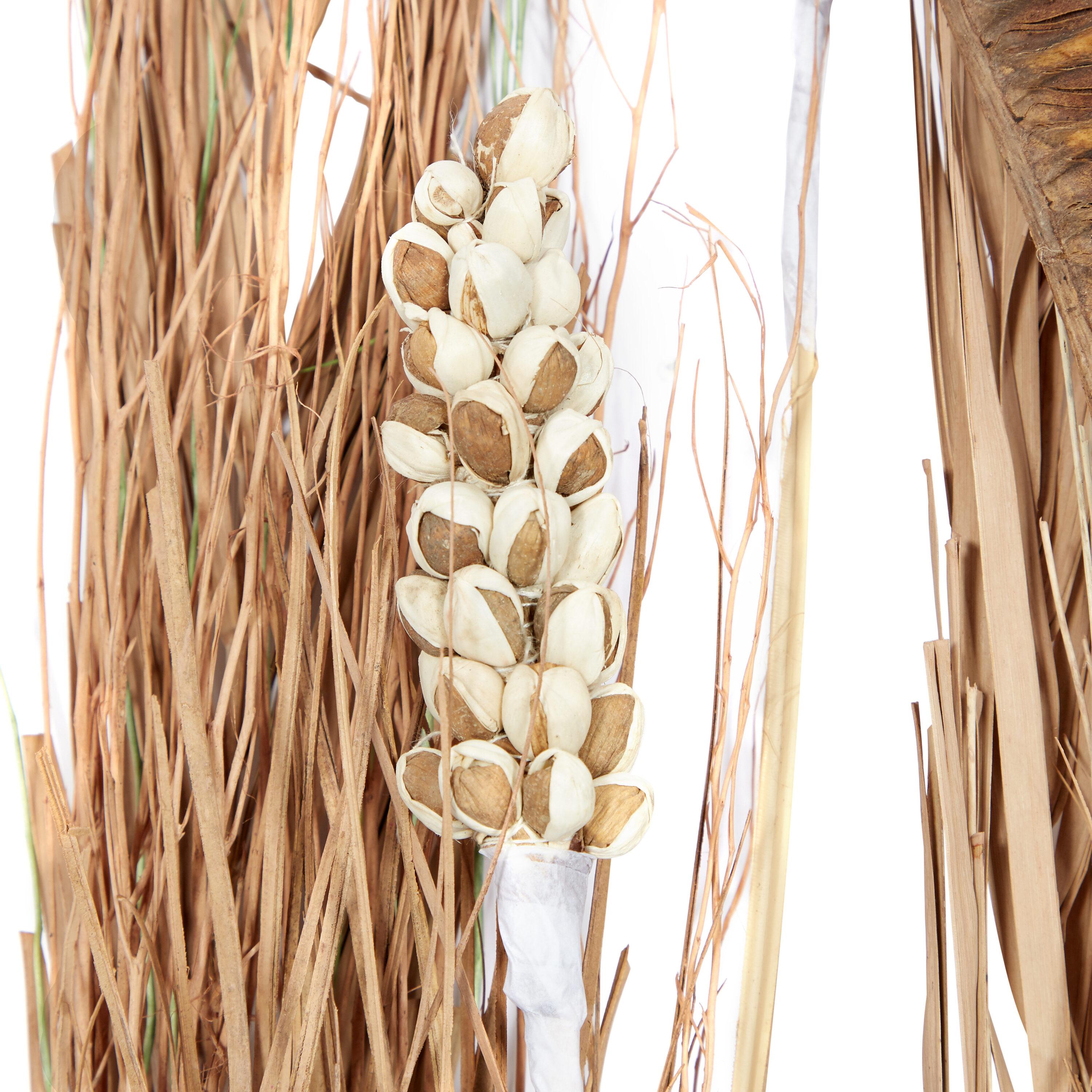 57" Dried Plant Natural Foliage Pigeon pea Bouquet, by DecMode (2 Count)