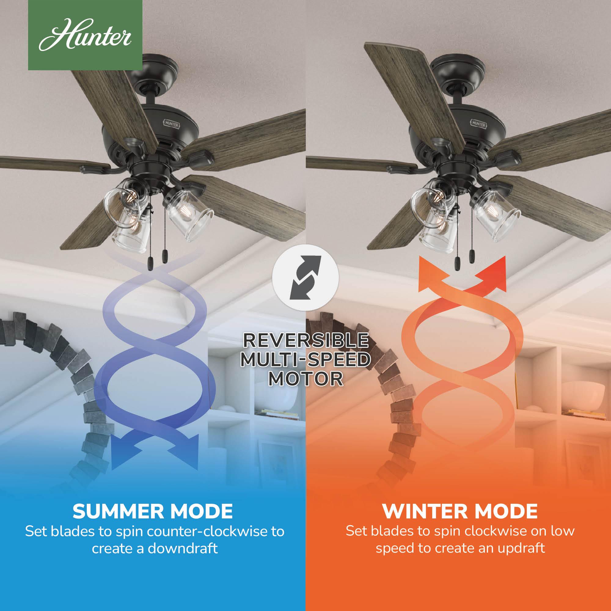 Hunter Fan 52" Rosner 5 - Blade Ceiling Fan With Lights and Pull Chains