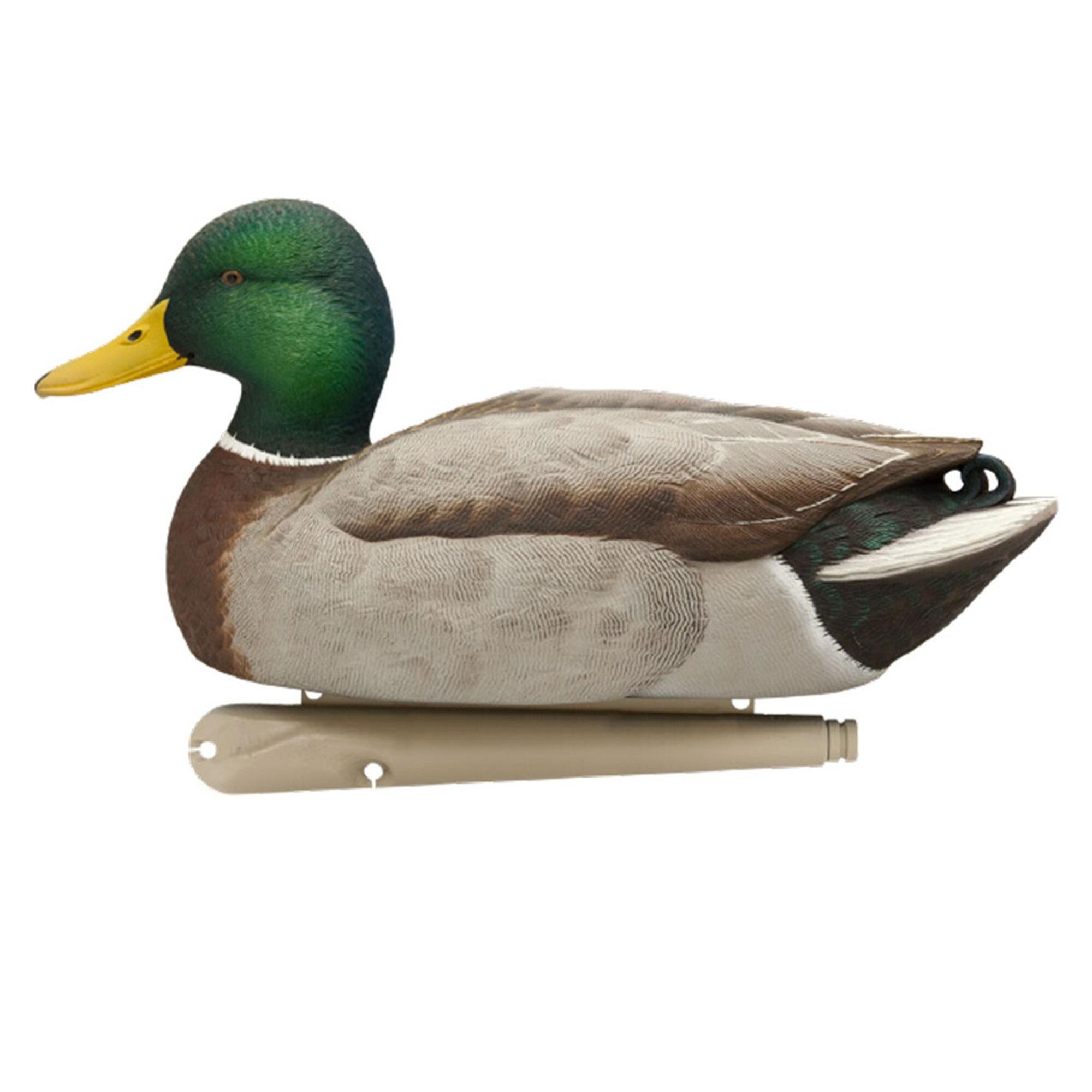 Open Box Avian X Early Season Mallard Duck Realistic Decoys, Multicolor, 6pk