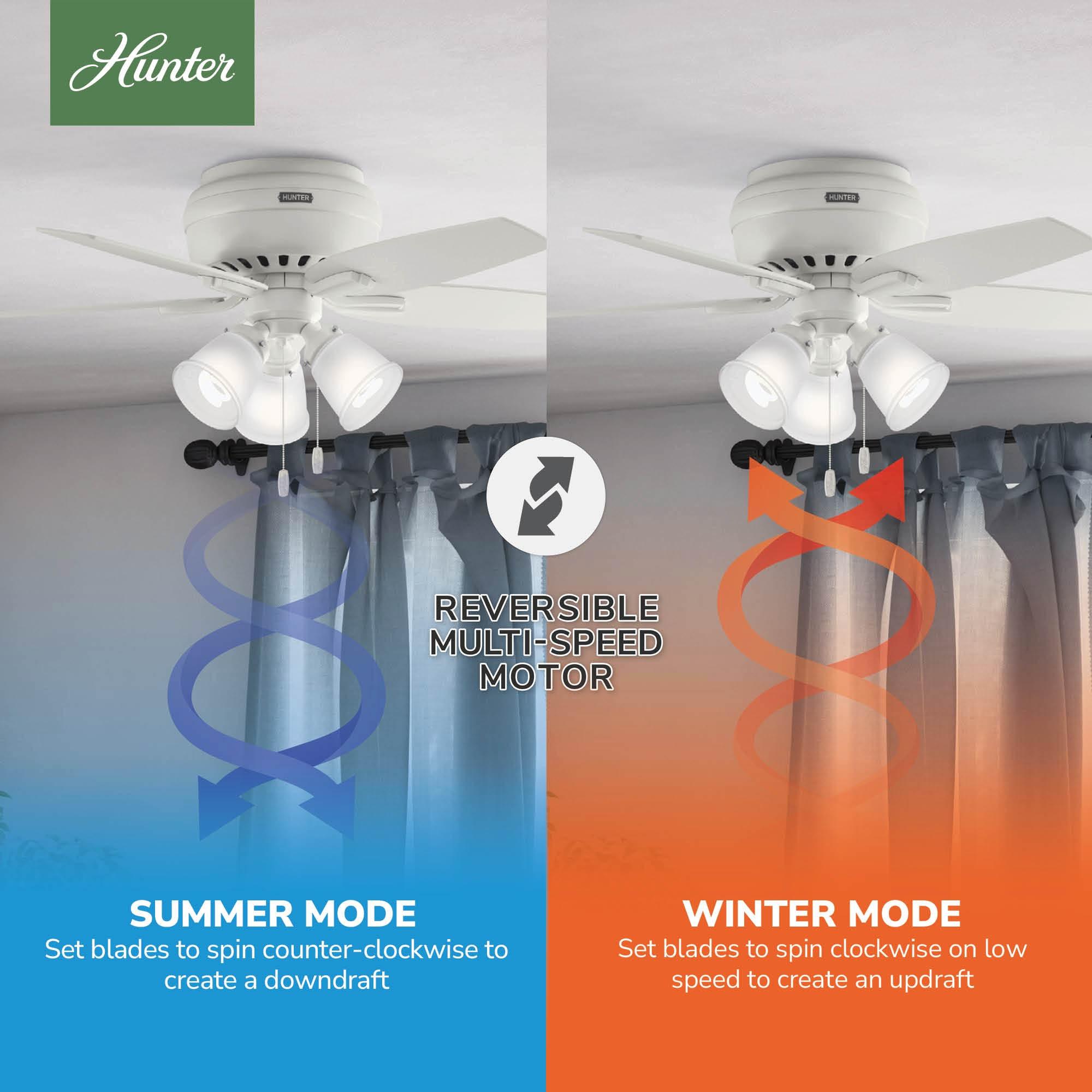 Hunter Fan Newsome 42" 5 - Blade Traditional Indoor Flush Mount Ceiling Fan with Lights and Pull Chains