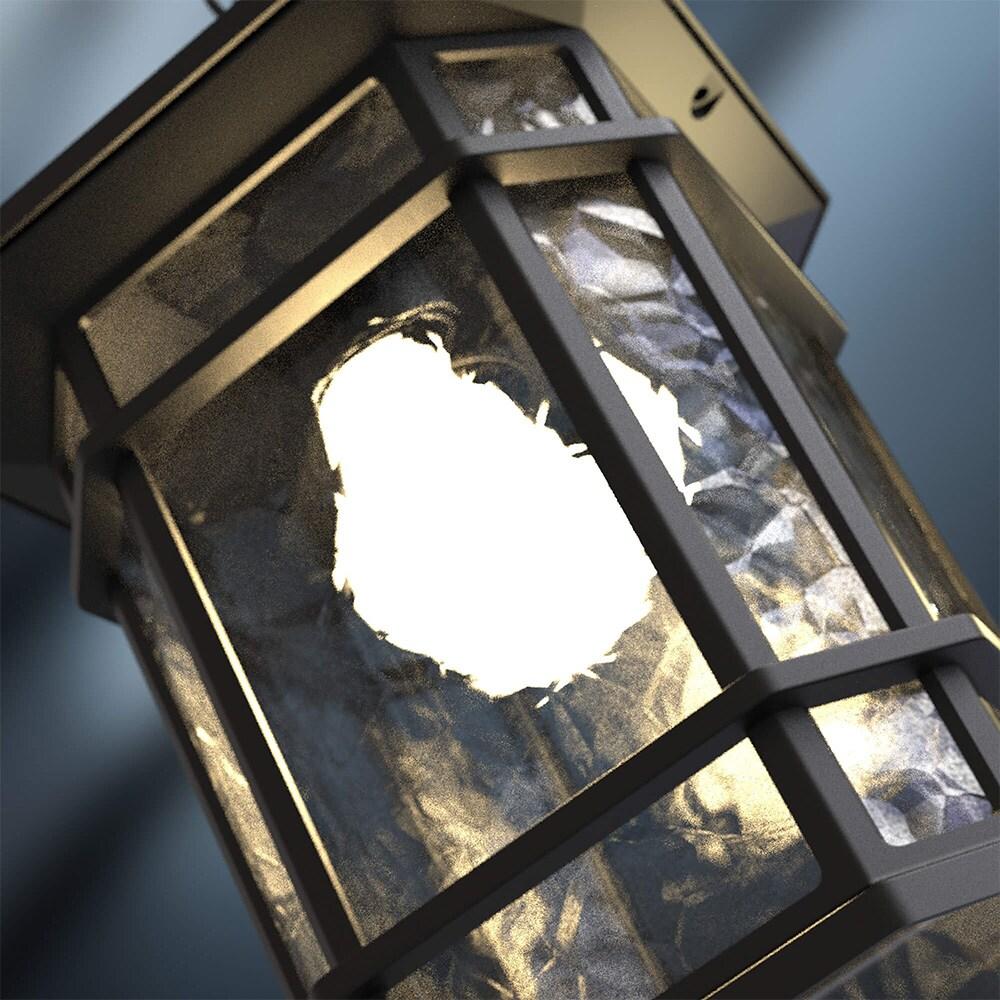 Williams 1- Light Black 14" H Glass Outdoor Hanging Lantern (Bulb Included)