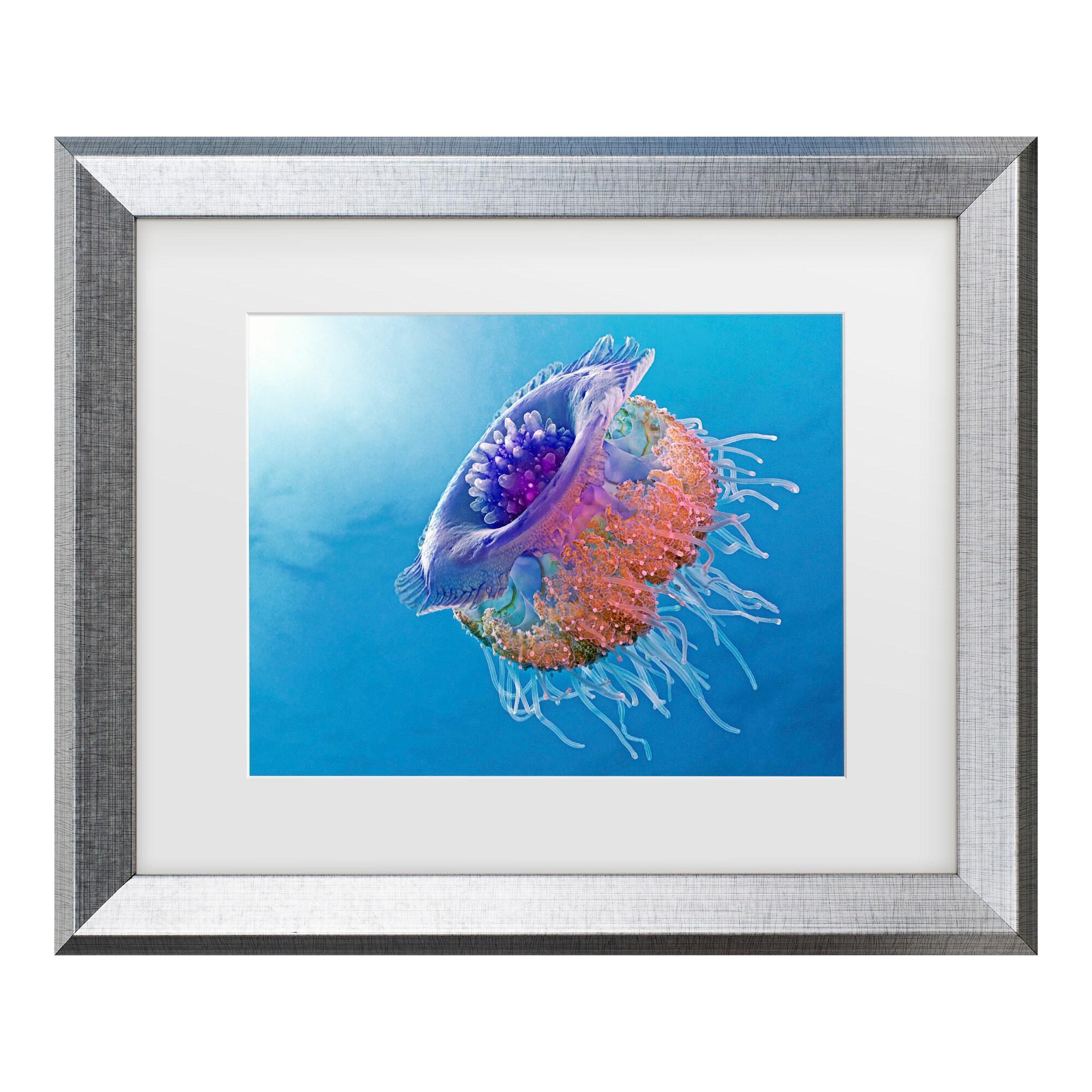 Trademark Fine Art - Henry Jager Crown Jellyfish Matted Framed Art - 11x14