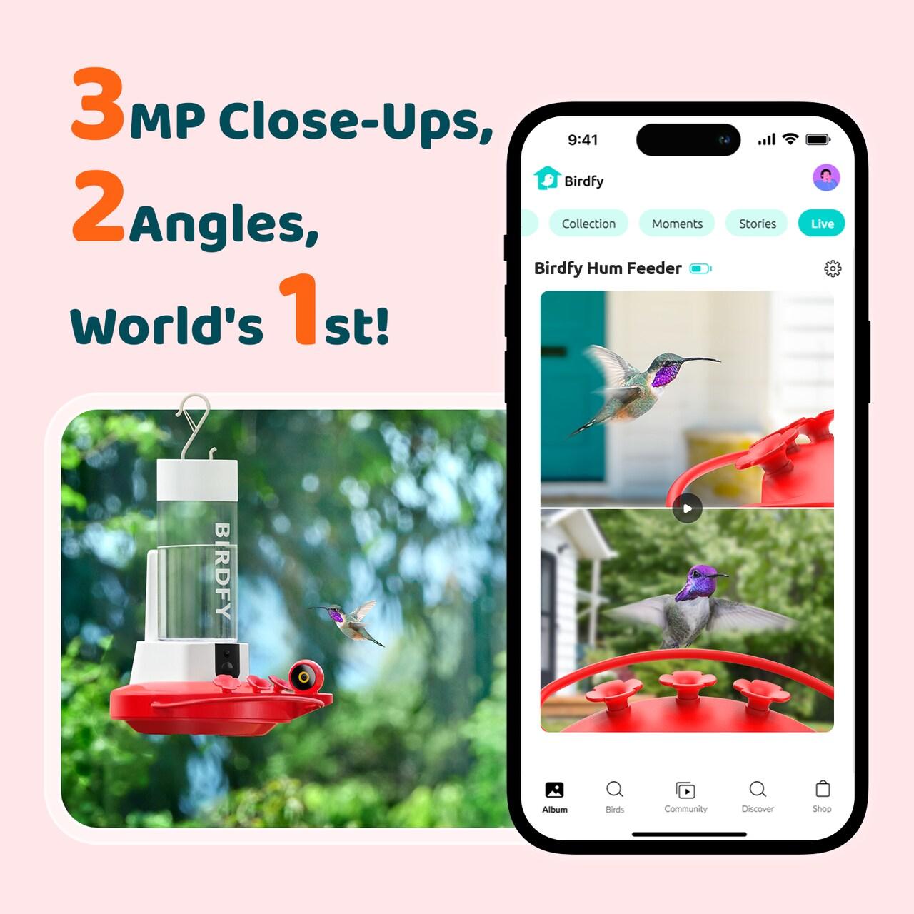 Birdfy NETVUE Birdfy Hummingbird Feeder with 2 Cameras Solar Powered - Dual Smart Cams, 2K HD Wireless for 2 Angels Close-up Bird Watching Outdoor, Instant Notifications (20Oz) (Hum Duo AI Solar)