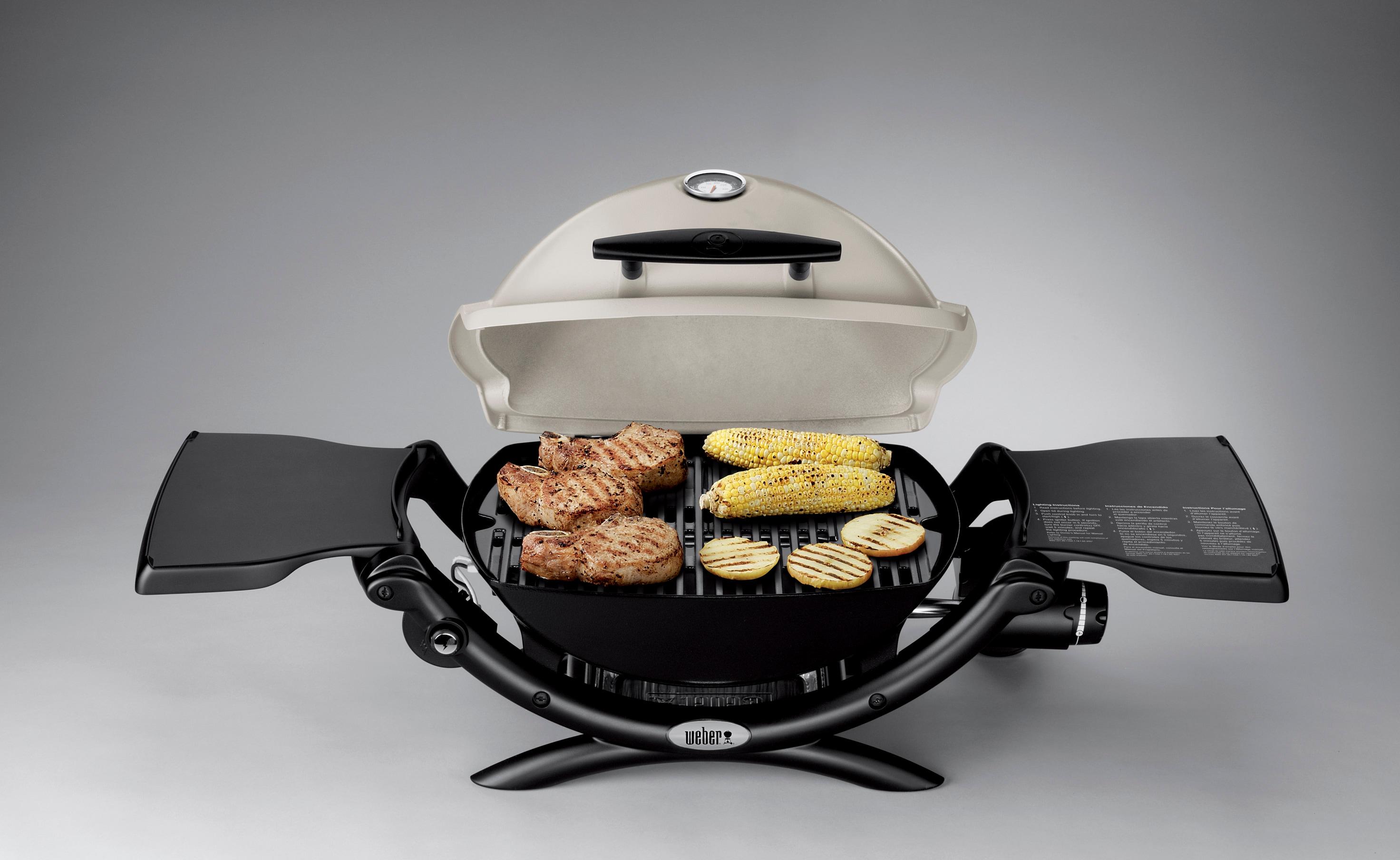 Weber Q1200 Gas Grill, Titanium