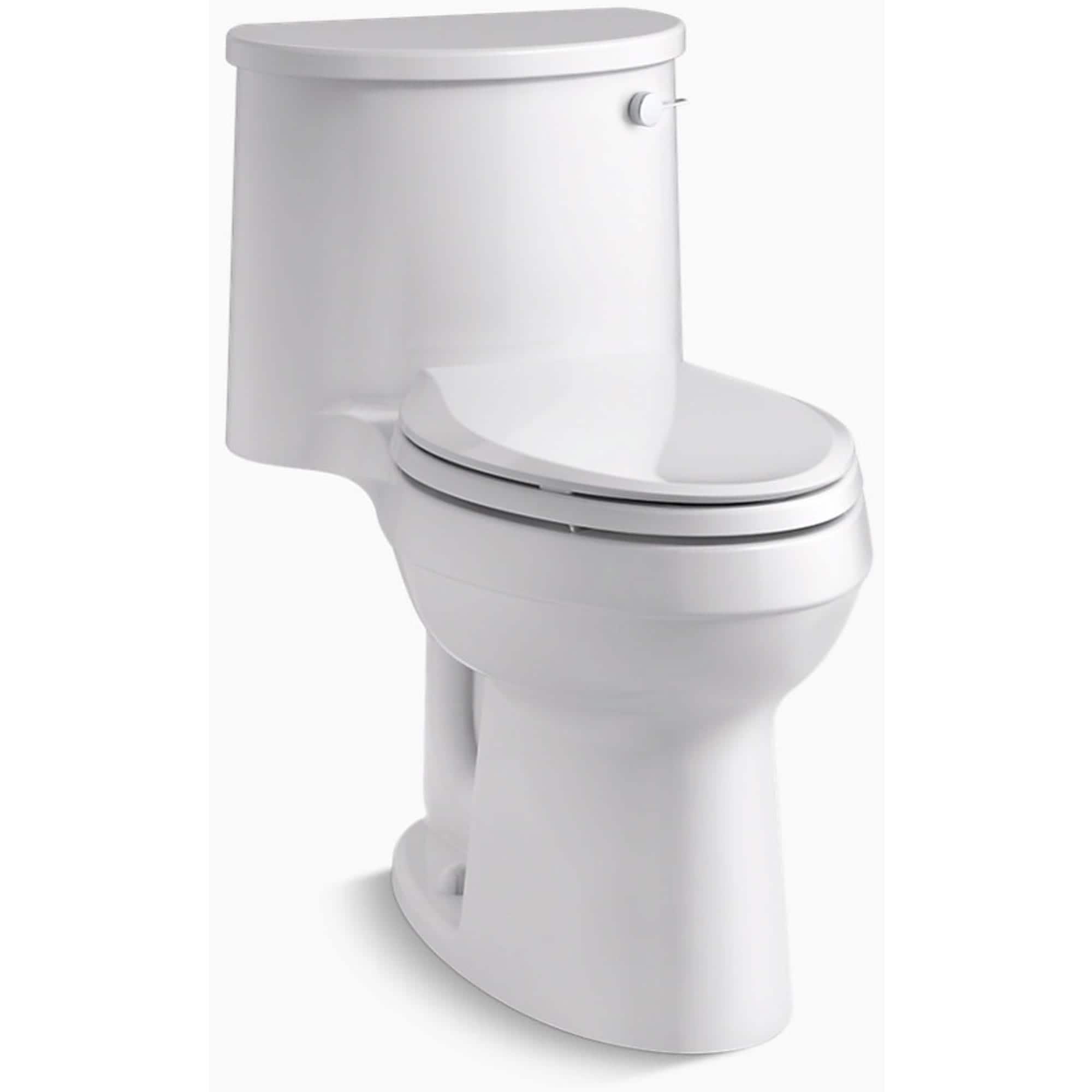 Adair 1.28 GPF Water Efficient Elongated One-Piece toilet (Seat Included)