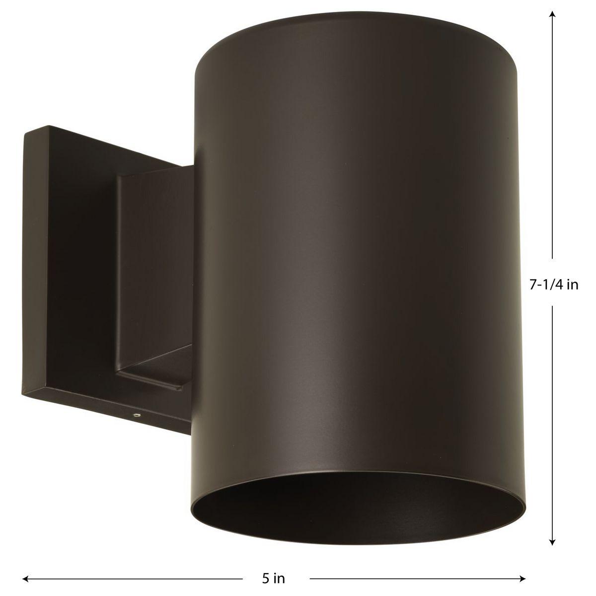 Progress Lighting, Cylinder Collection, 1-Light Wall Light, Antique Bronze, Porcelain Shade