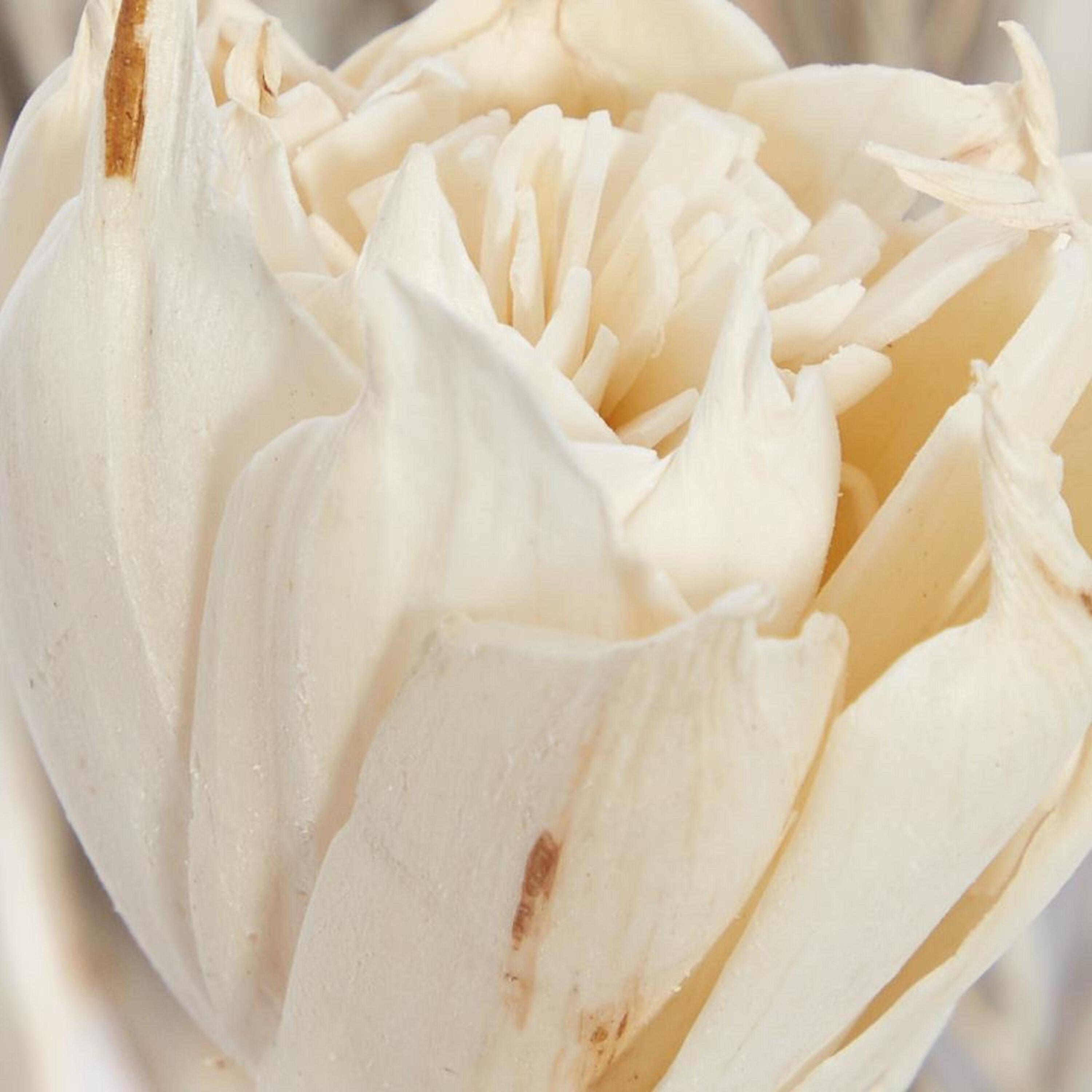 DecMode Farmhouse Dried Floral Natural Foliage Set of 2, 7"W x 56"H, with Brown, White and Beige Finish