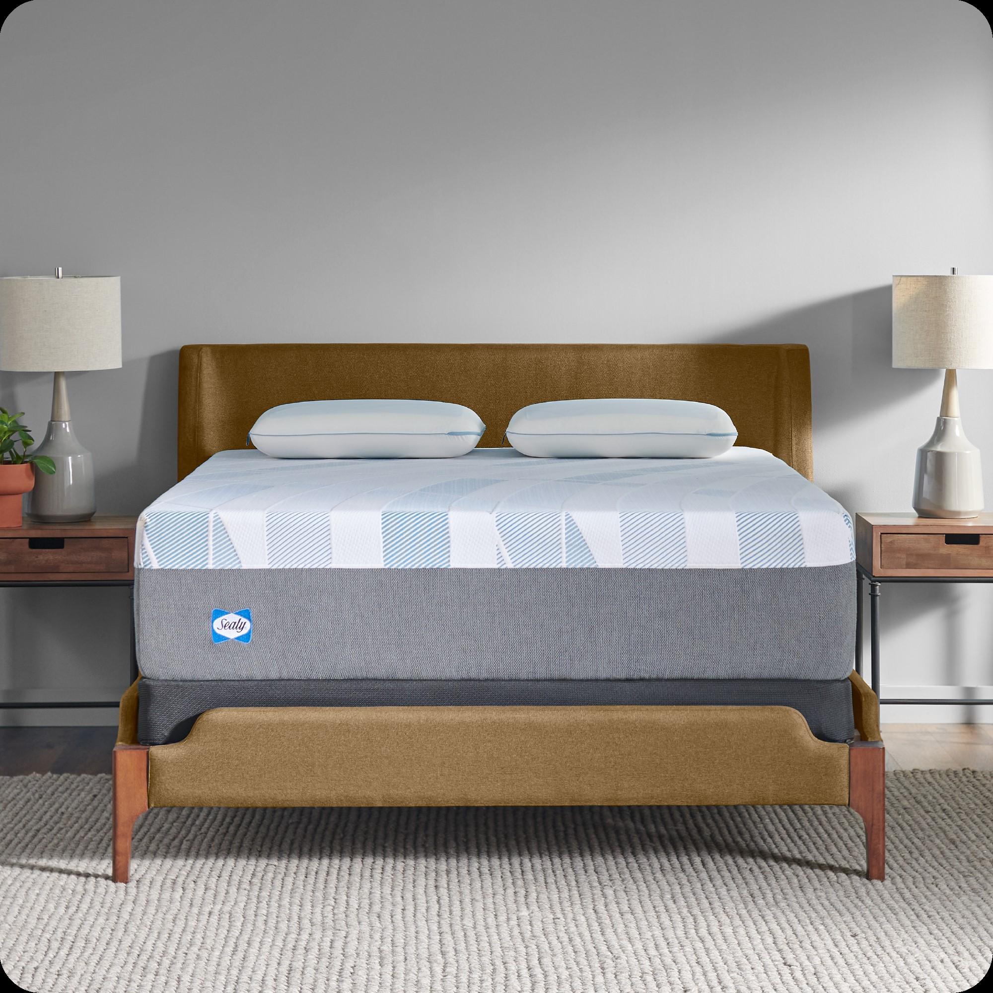 Sealy Dreamlife 14” Plush Foam Mattress-in-a-Box