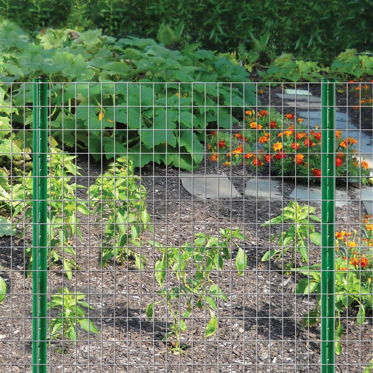 Garden Zone 36 in. H x 50 ft. L Steel Fence