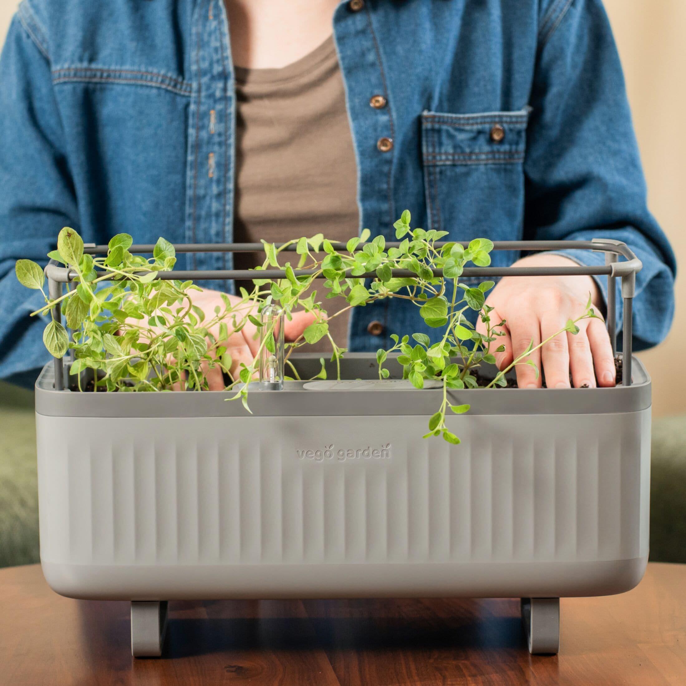 Vego Garden Mini Herb Plastic Outdoor Pot Planter with Trellis