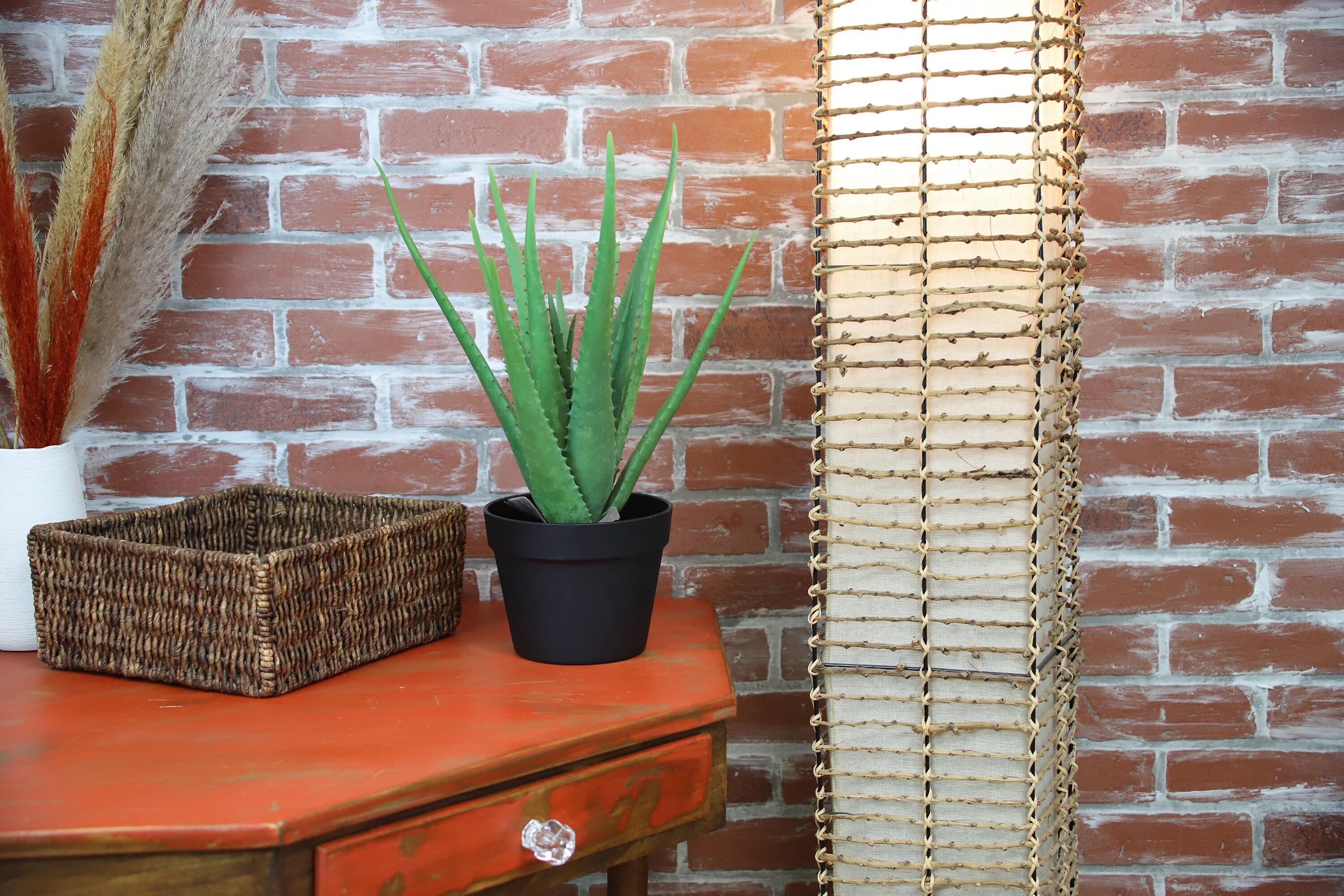 The Mod Greenhouse 19" Artificial Green Aloe Vera Plant in a Matte Black Grower's Pot