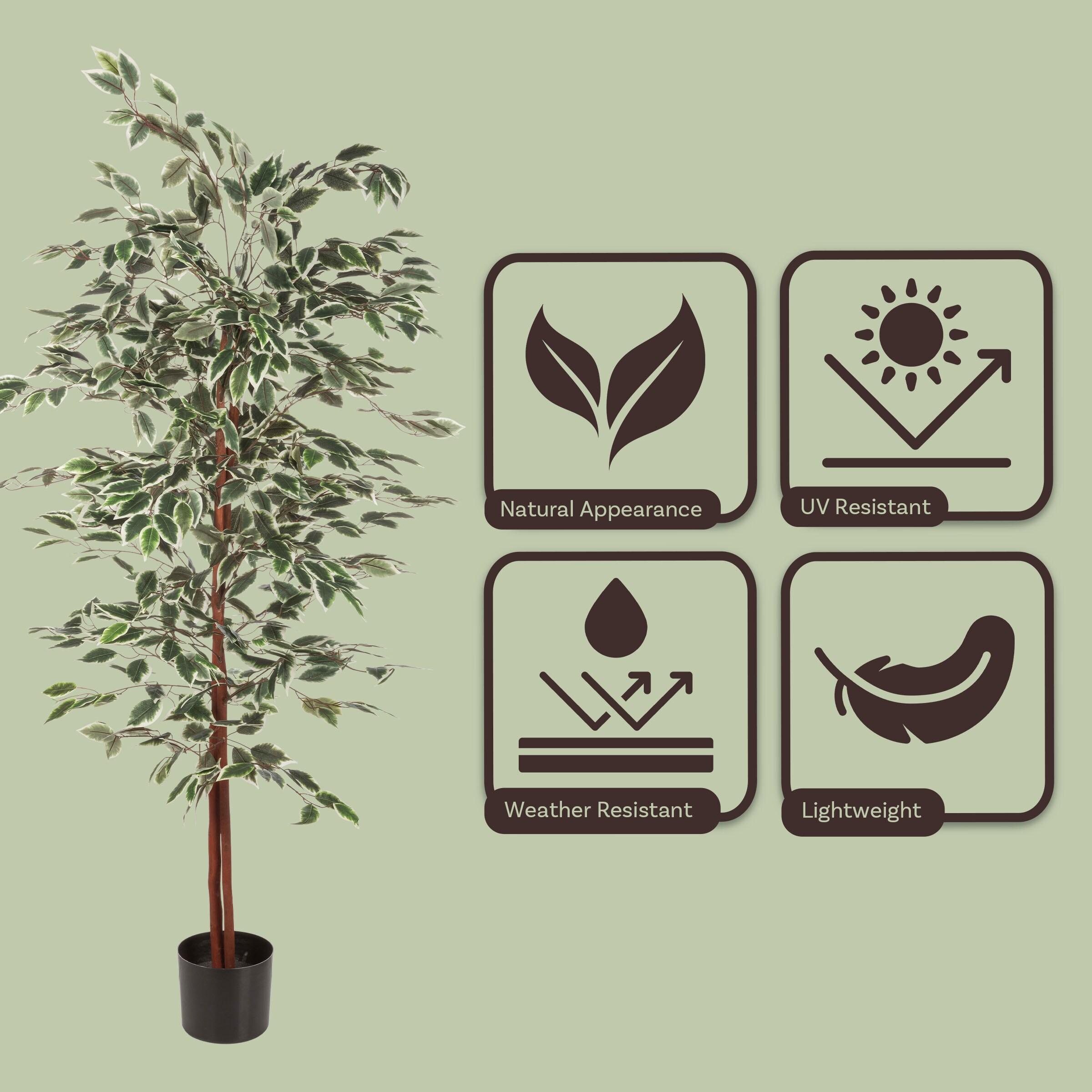 Nature Spring 5 ft Ficus Artificial Tree - Fake Plant with Variegated Leaves and Natural Trunk - Topiary Decor for Indoor or Outdoor