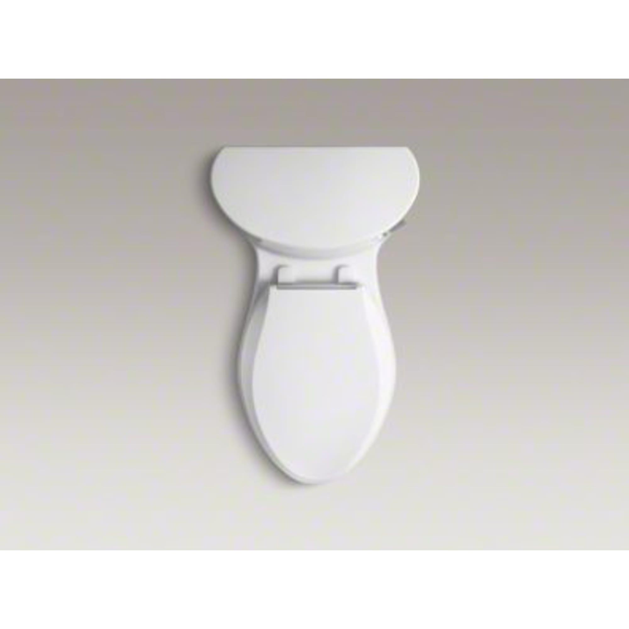 Adair 1.28 GPF Water Efficient Elongated One-Piece toilet (Seat Included)