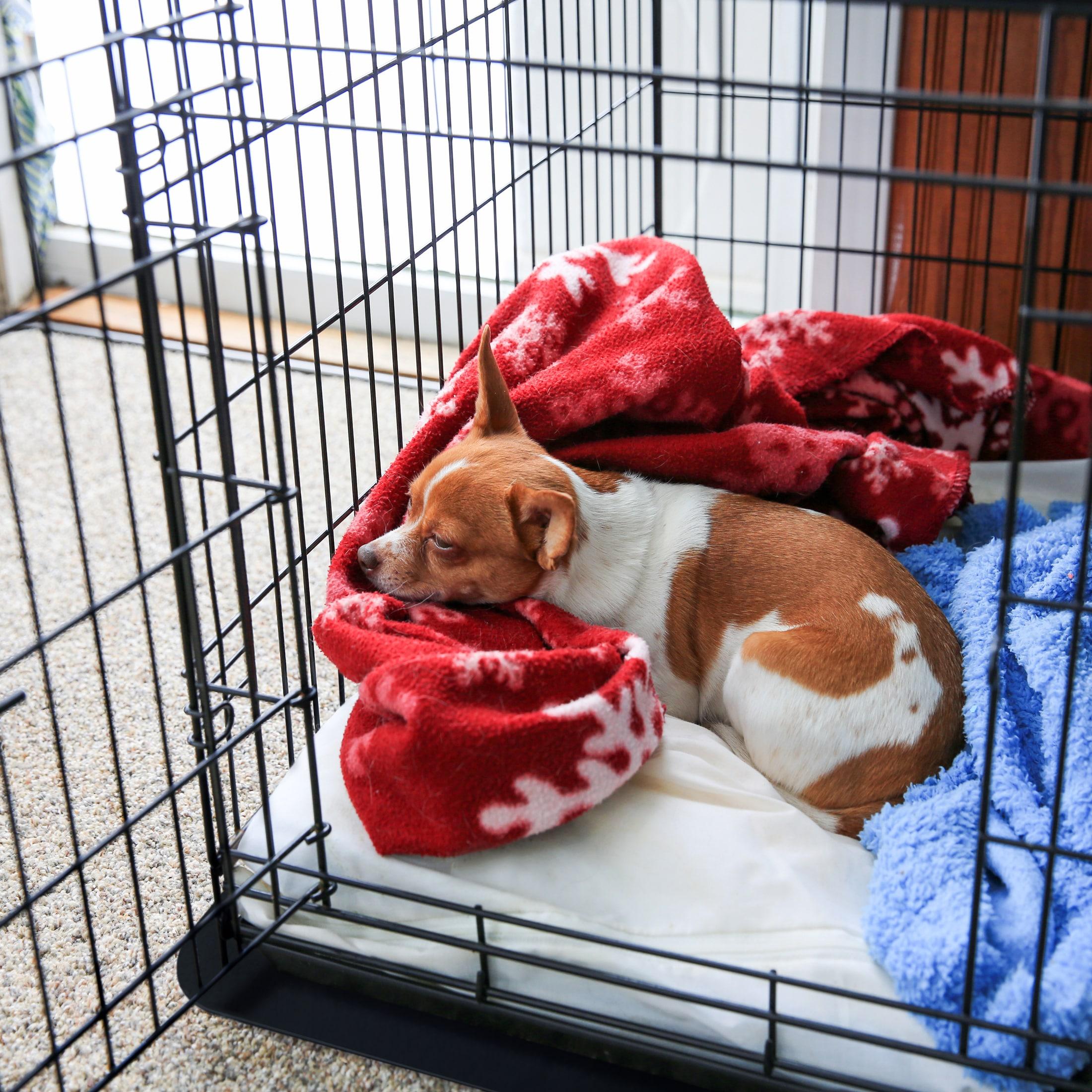 Floortex® Polypropylene Pet Crate Floor Mat - XL - 26" x 38"
