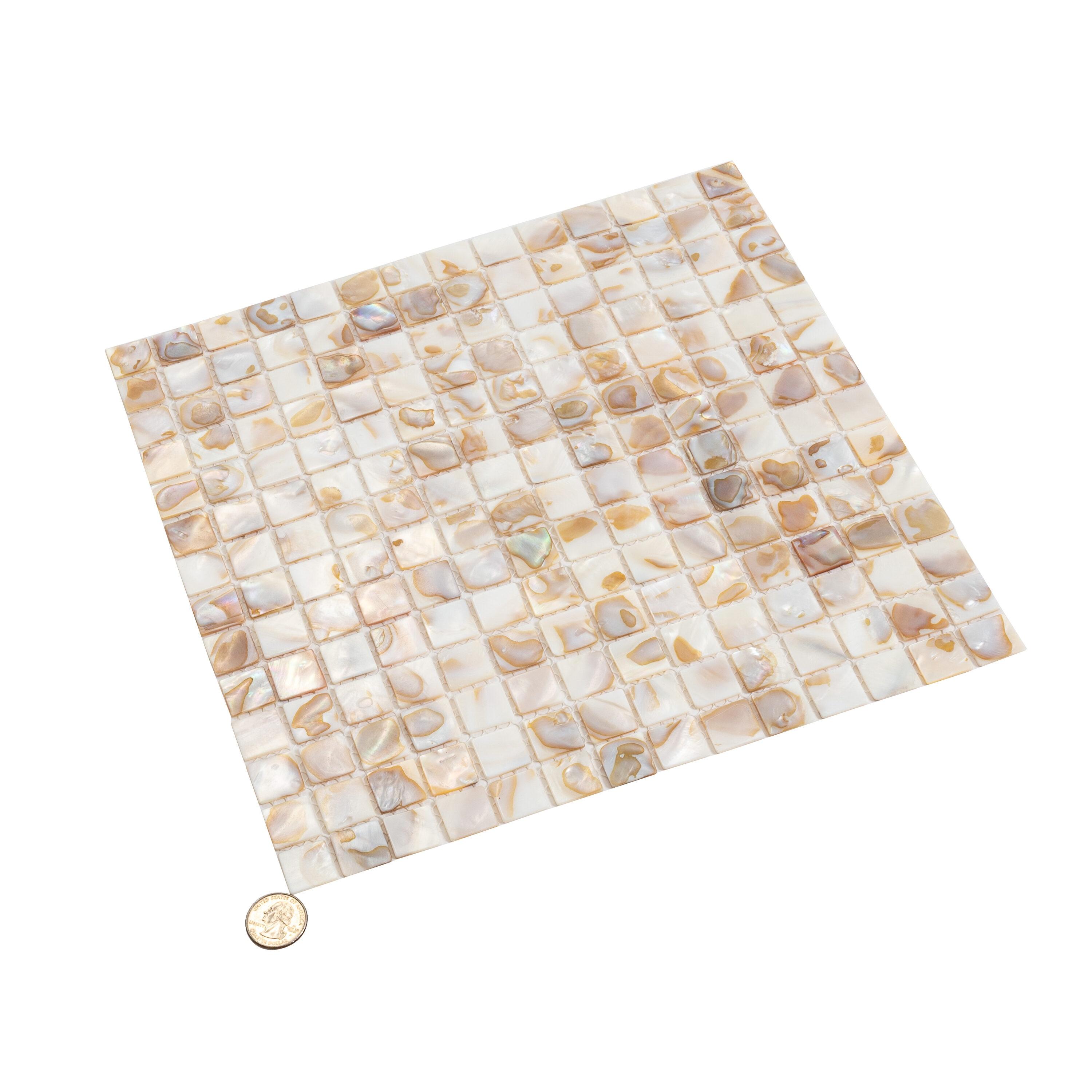 12" x 12" Seashell Grid Mosaic Wall & Floor Tile