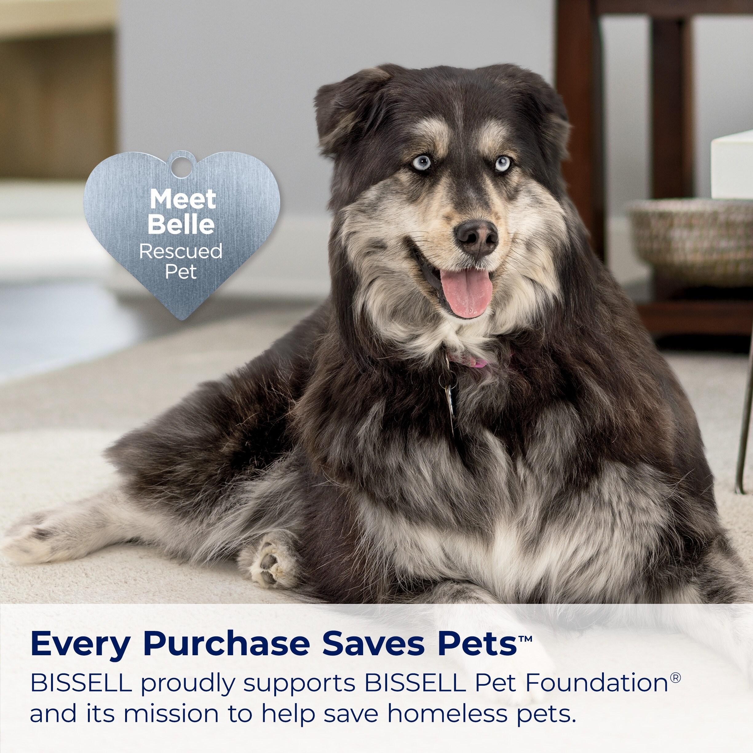 BISSELL 3774F BISSELL Pet Hair Eraser Turbo Lift-Off Vacuum, w/ Self-Cleaning Brush Roll, Powerful Pickup with TurboBrush Pivot Tool & Crevice Tool, 3774F
