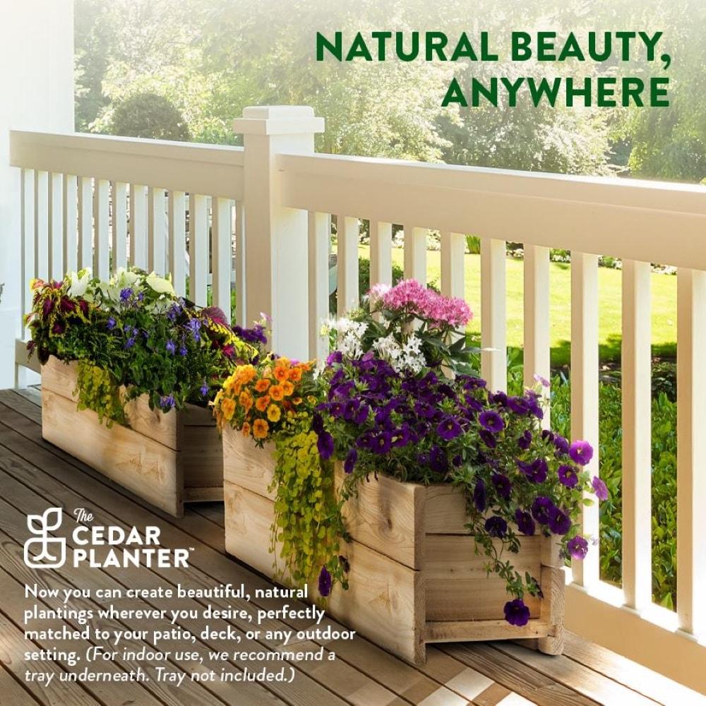 Greenes Fence Cedar Wood Planter Box Wood Planter Box