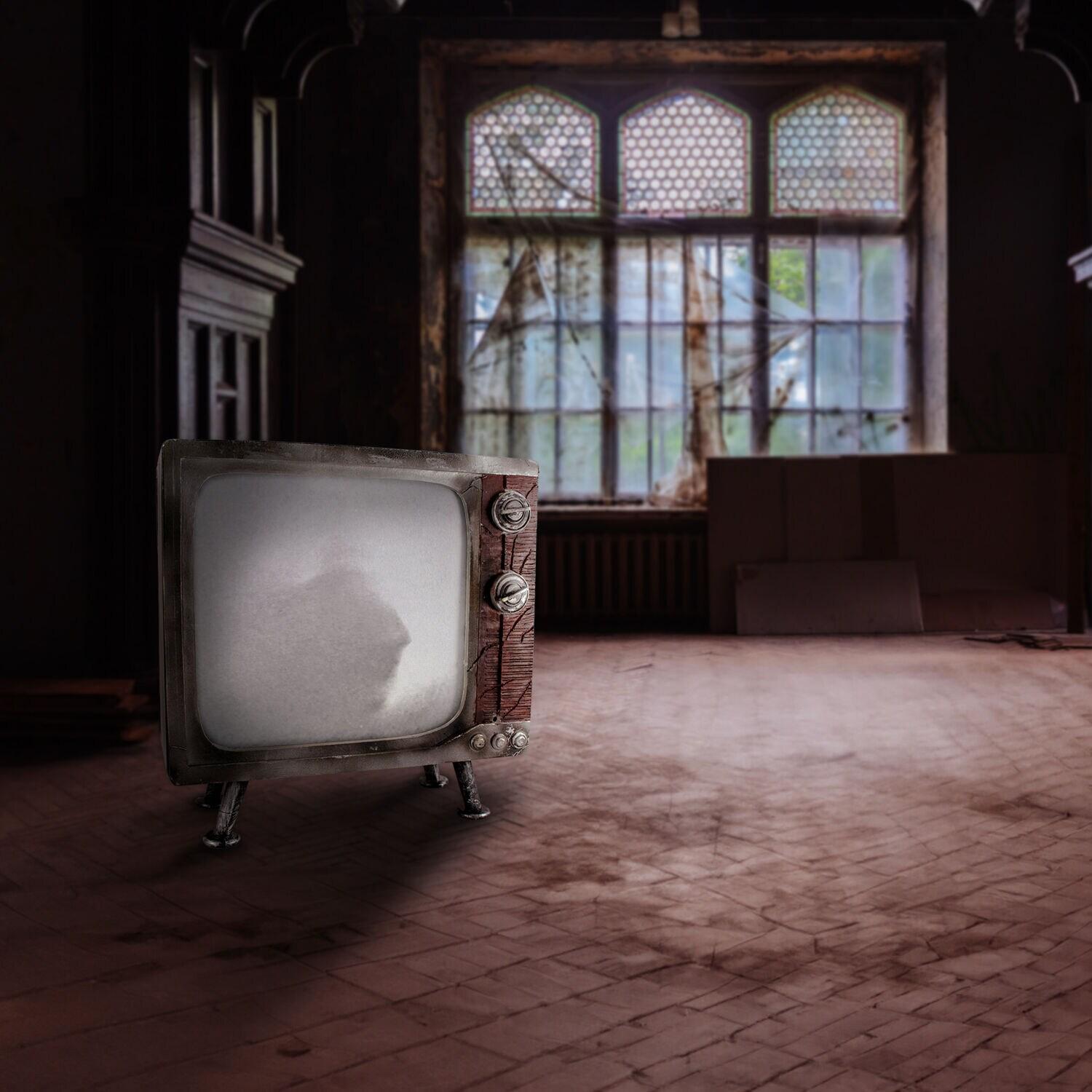 Haunted Hill Farm 11.8" H 4.7 lbs Haunted TV Animatronic White LED lights, Halloween Decor, HHHAUNTTV-1FLSA