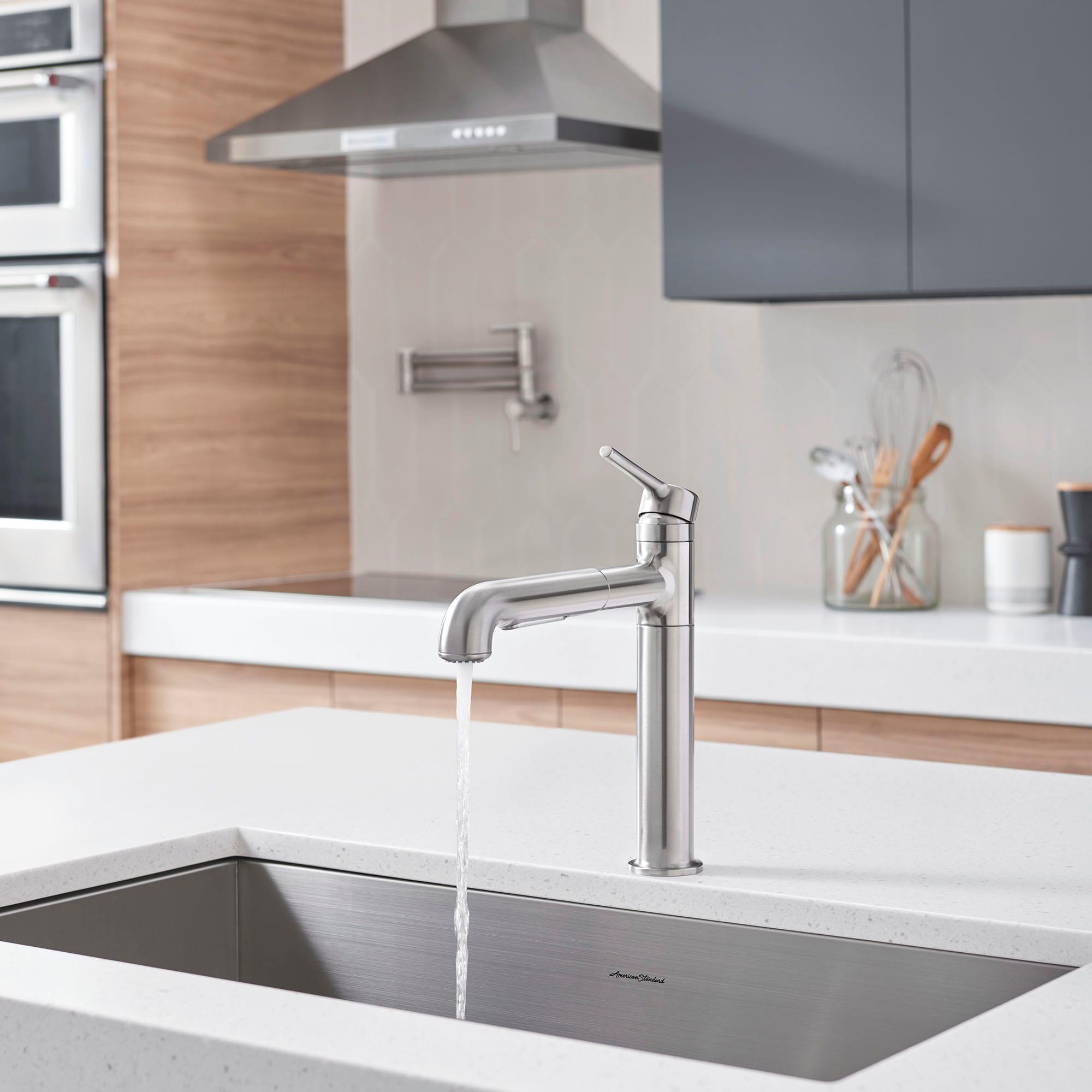 Stainless Steel Pull-Out Spray Kitchen Faucet