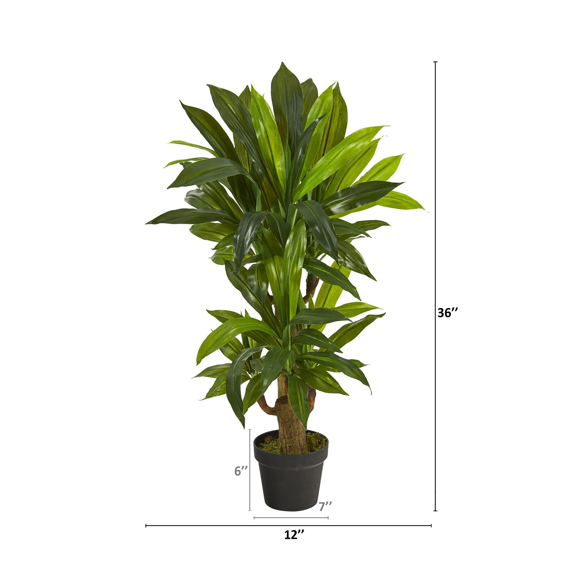 Primrue 3ft. Corn Stalk Dracaena Artificial Plant (Real Touch)