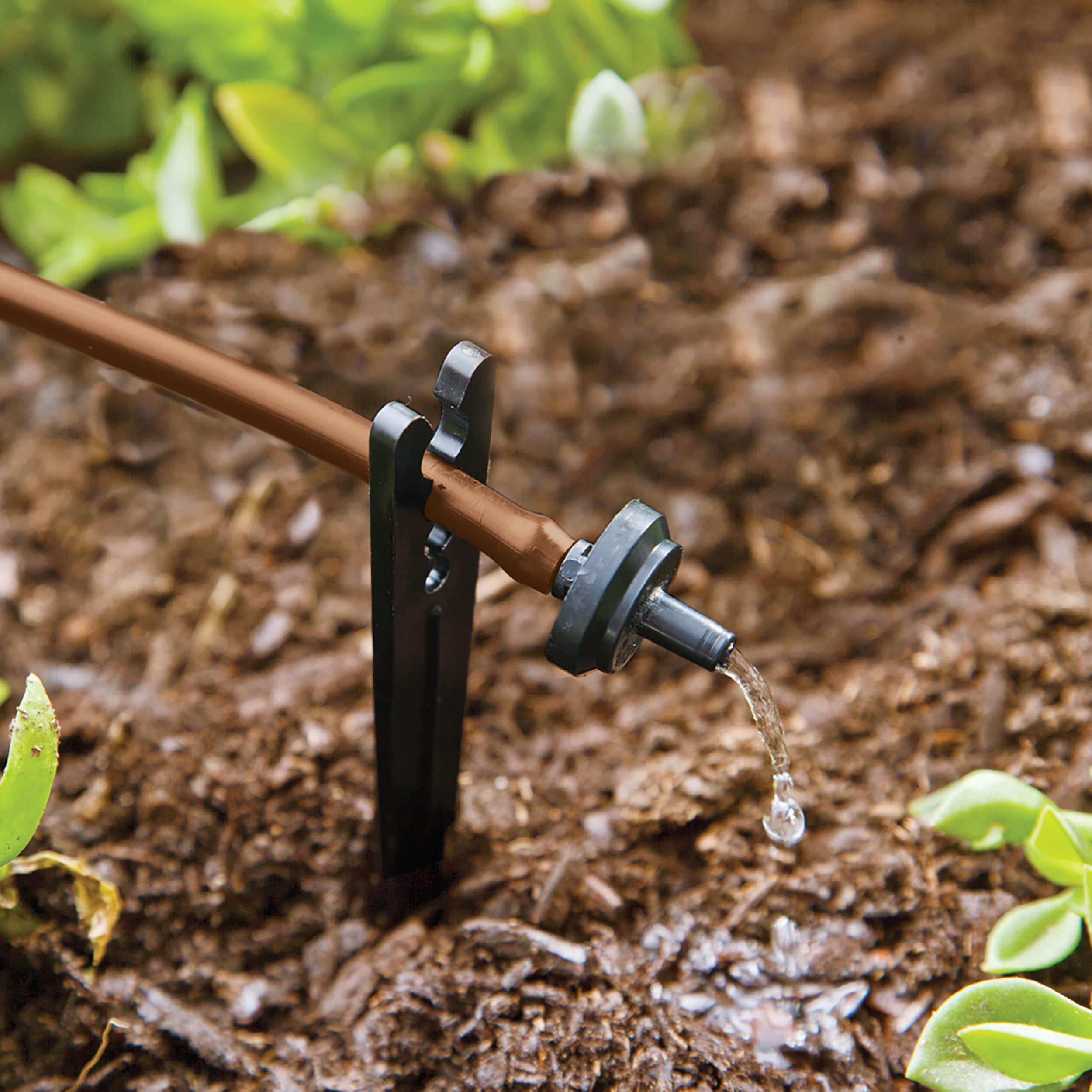 Raindrip Drip irrigation tree and shrub kit