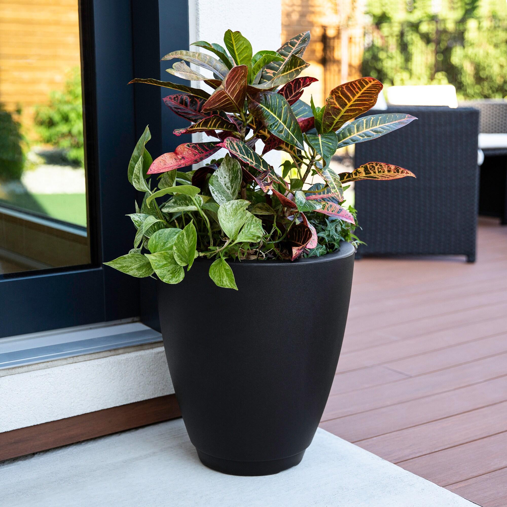 Mayne Inc. Caprio Tall Resin Pot Planter with Water Reservoir