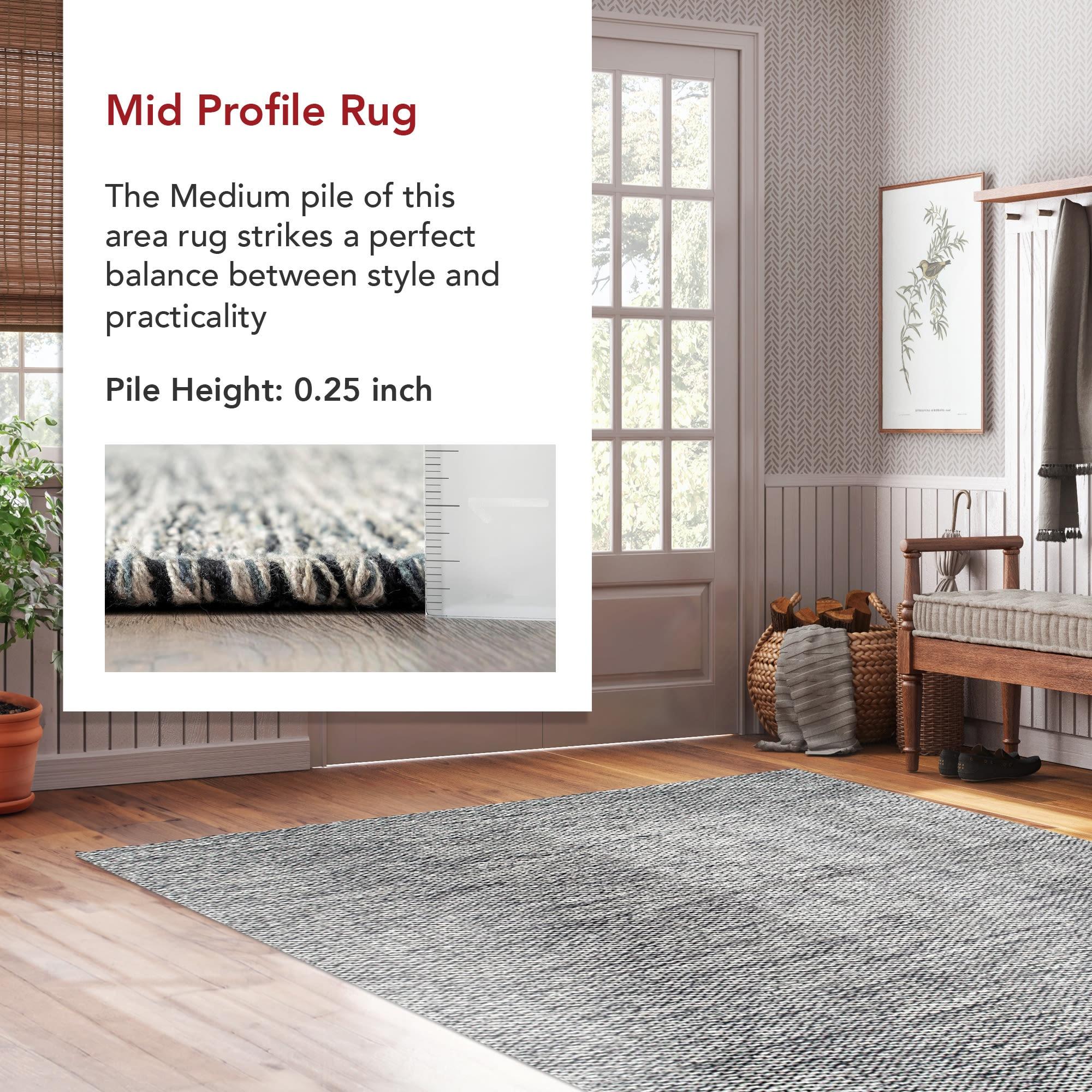 Nuloom Alessi Hand Woven Cotton Indoor Area Rug, 3' x 5', Gray